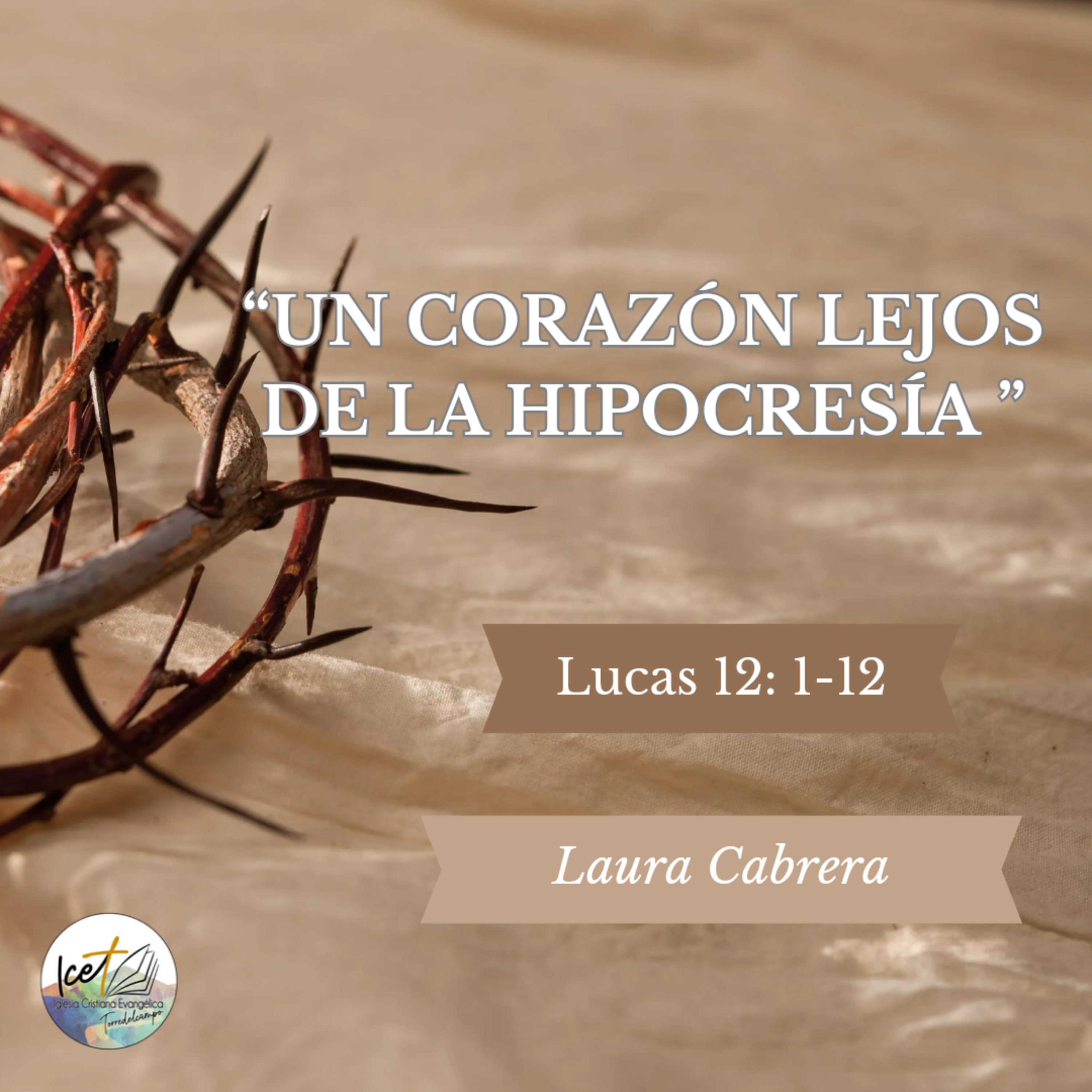 Portada de ICET - Serie De Predicaciones Expositivas