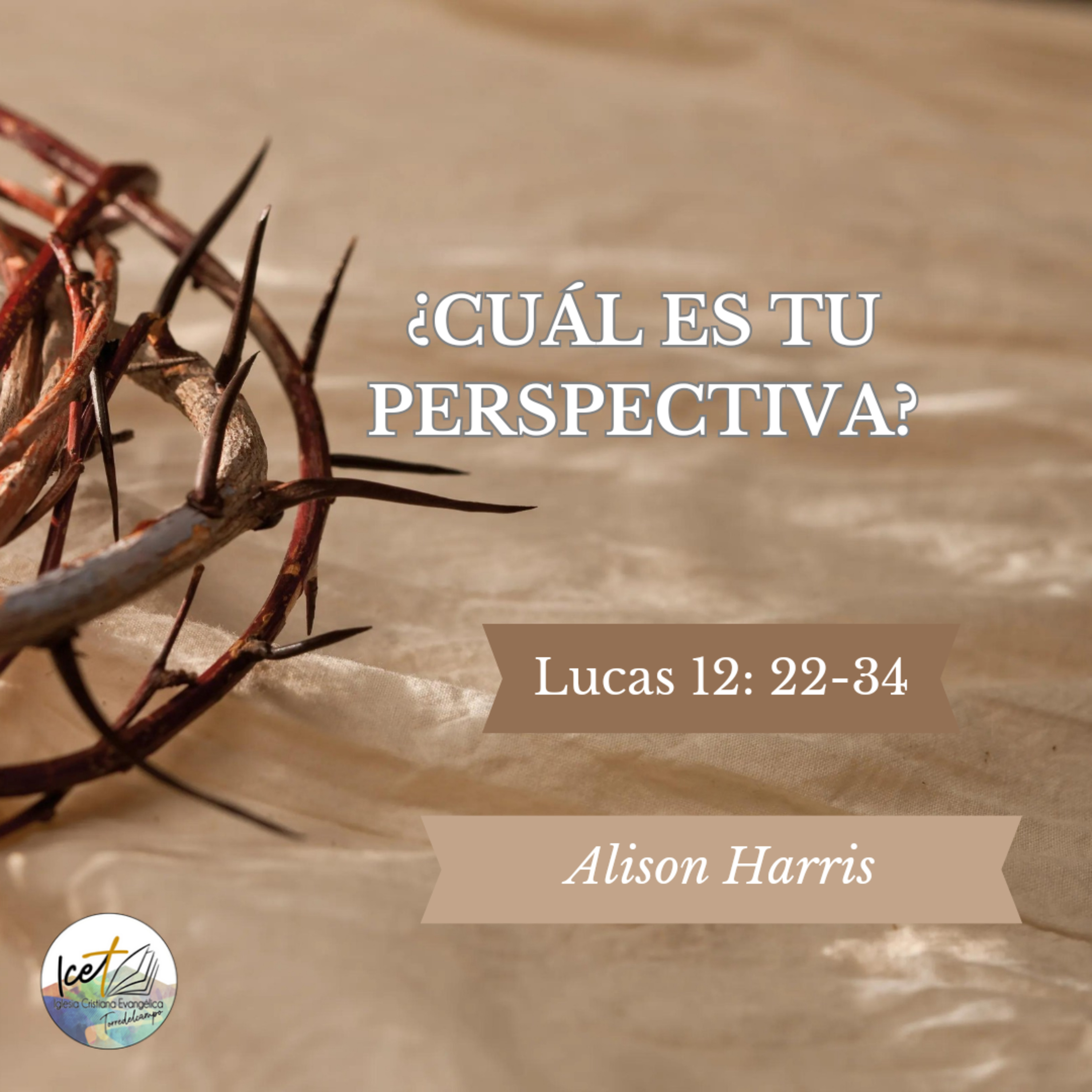 Portada de ICET - Serie De Predicaciones Expositivas