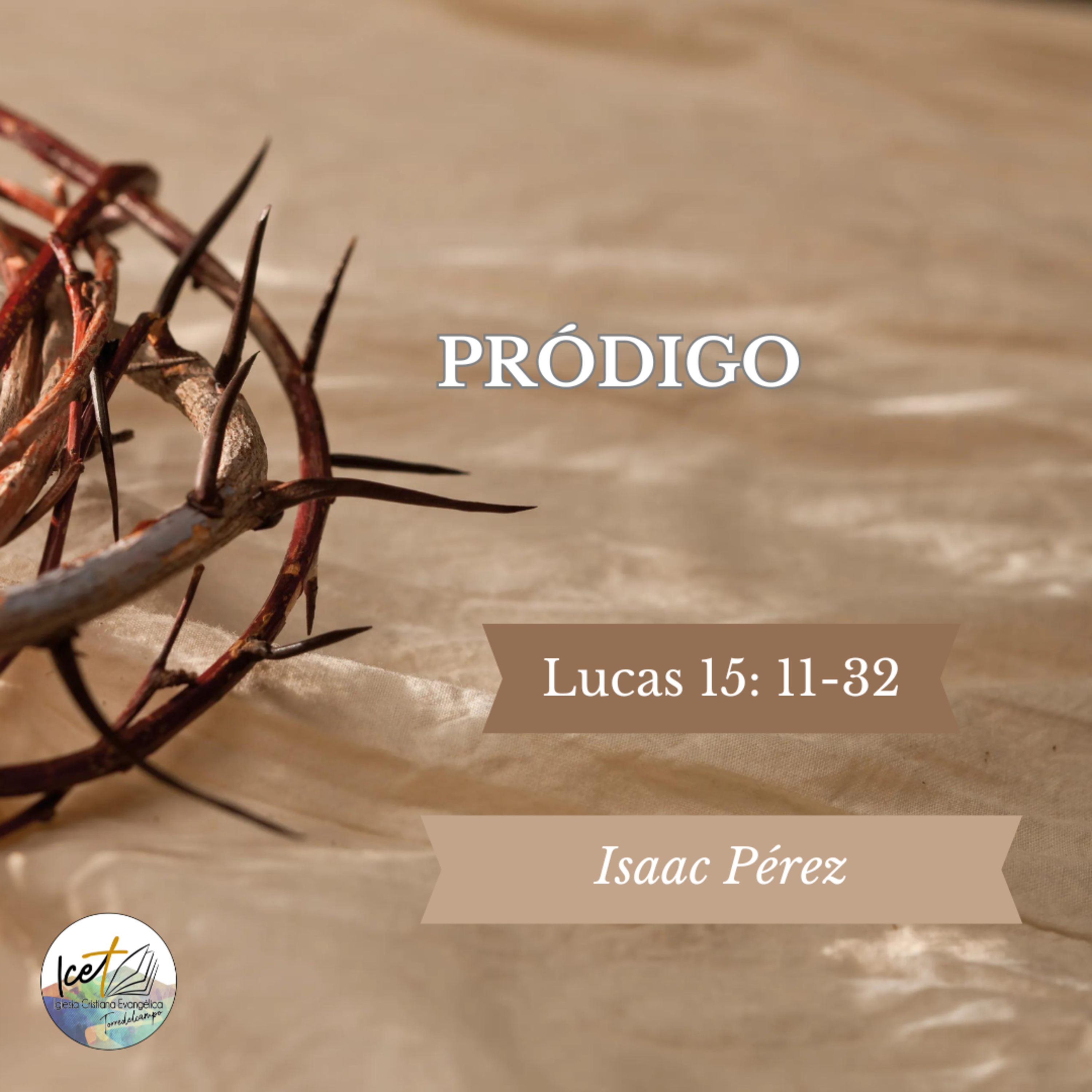 Portada de ICET - Serie De Predicaciones Expositivas