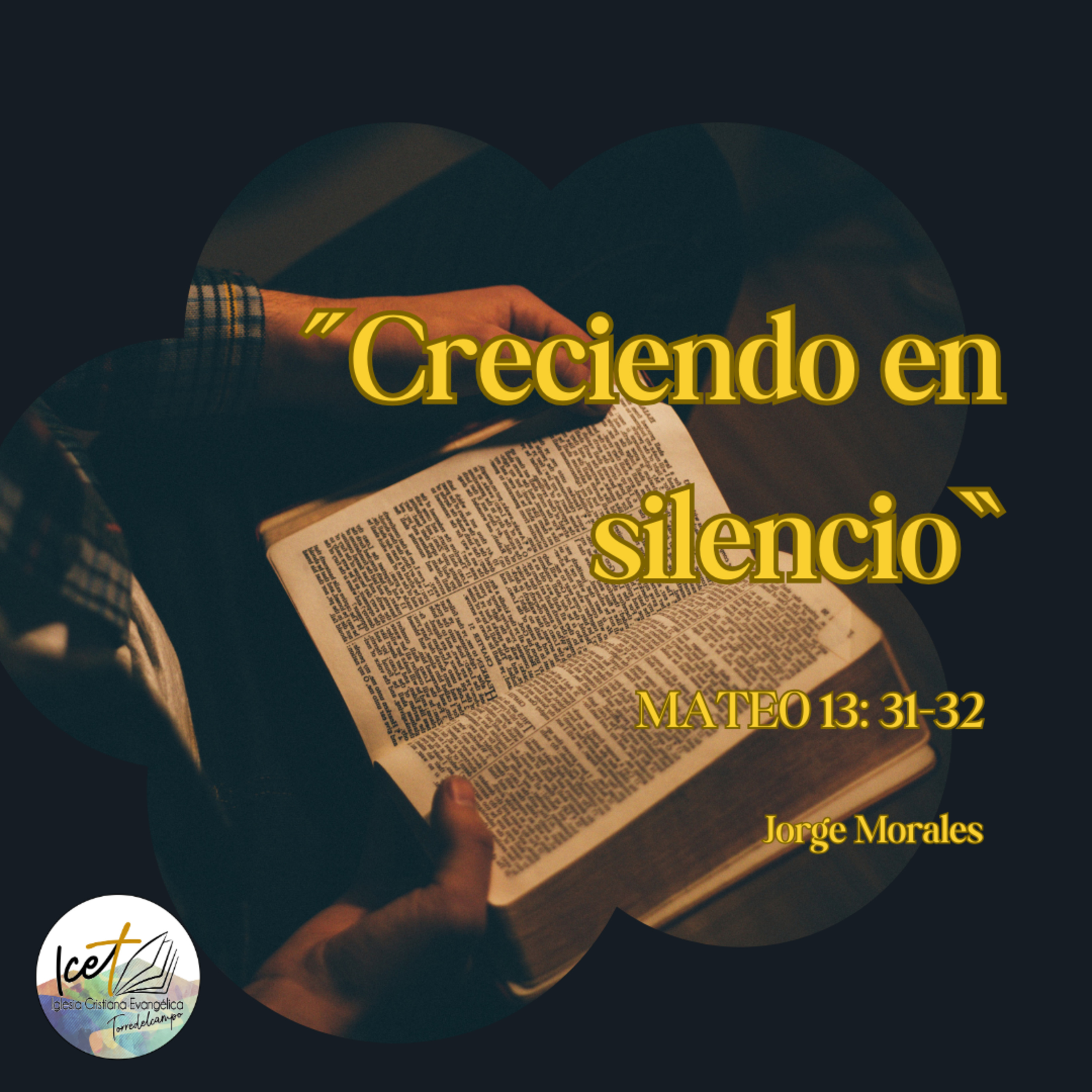 Portada de ICET - Serie De Predicaciones Expositivas