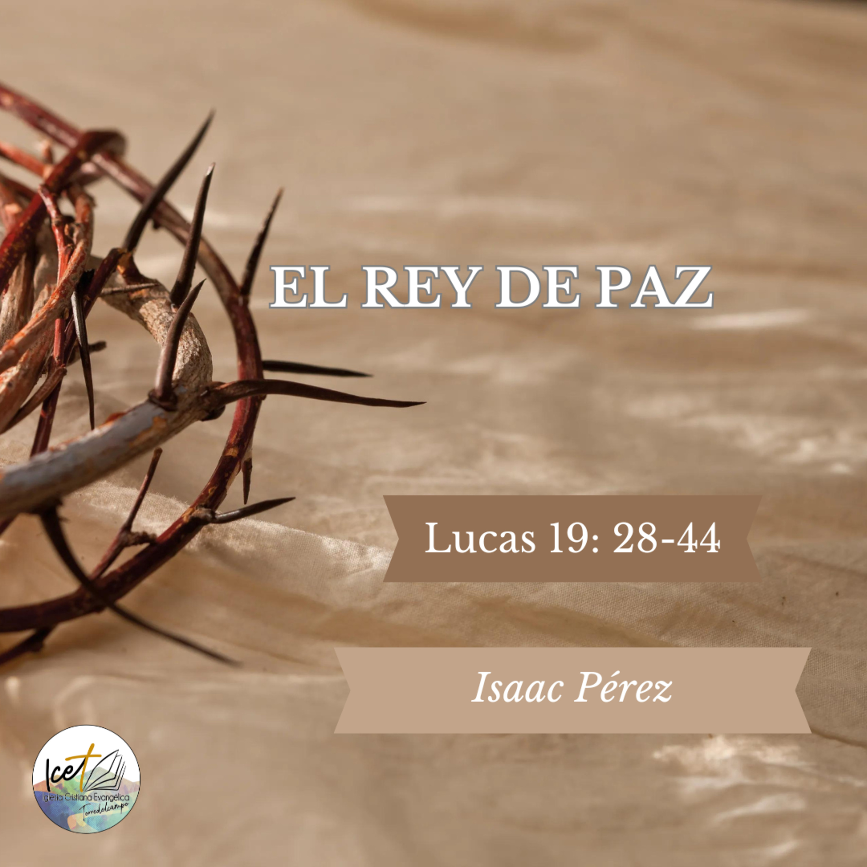 Portada de ICET - Serie De Predicaciones Expositivas