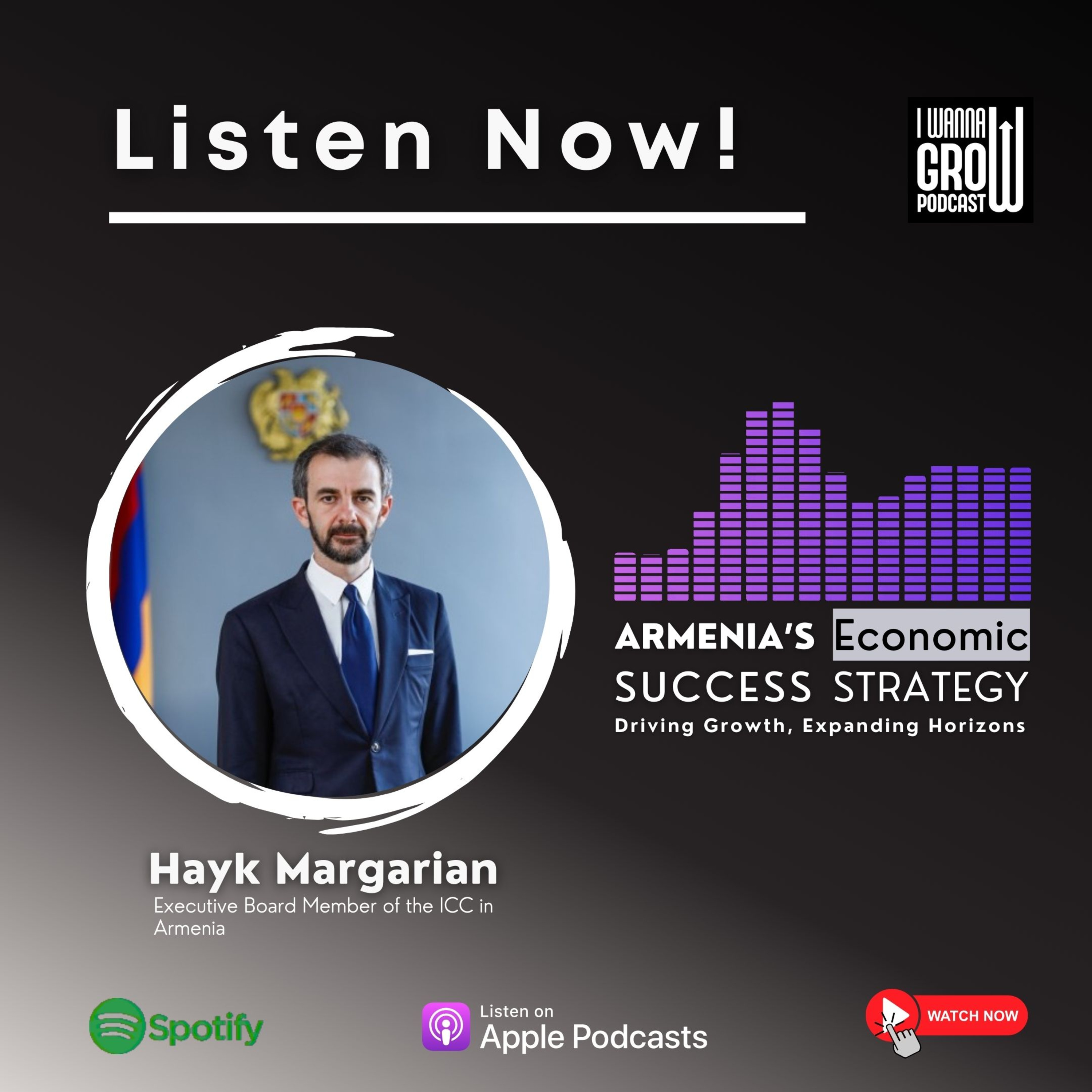 Building Global Partnerships: Hayk Margarian on Armenia’s Economic Growth & Business Strategies episode artwork