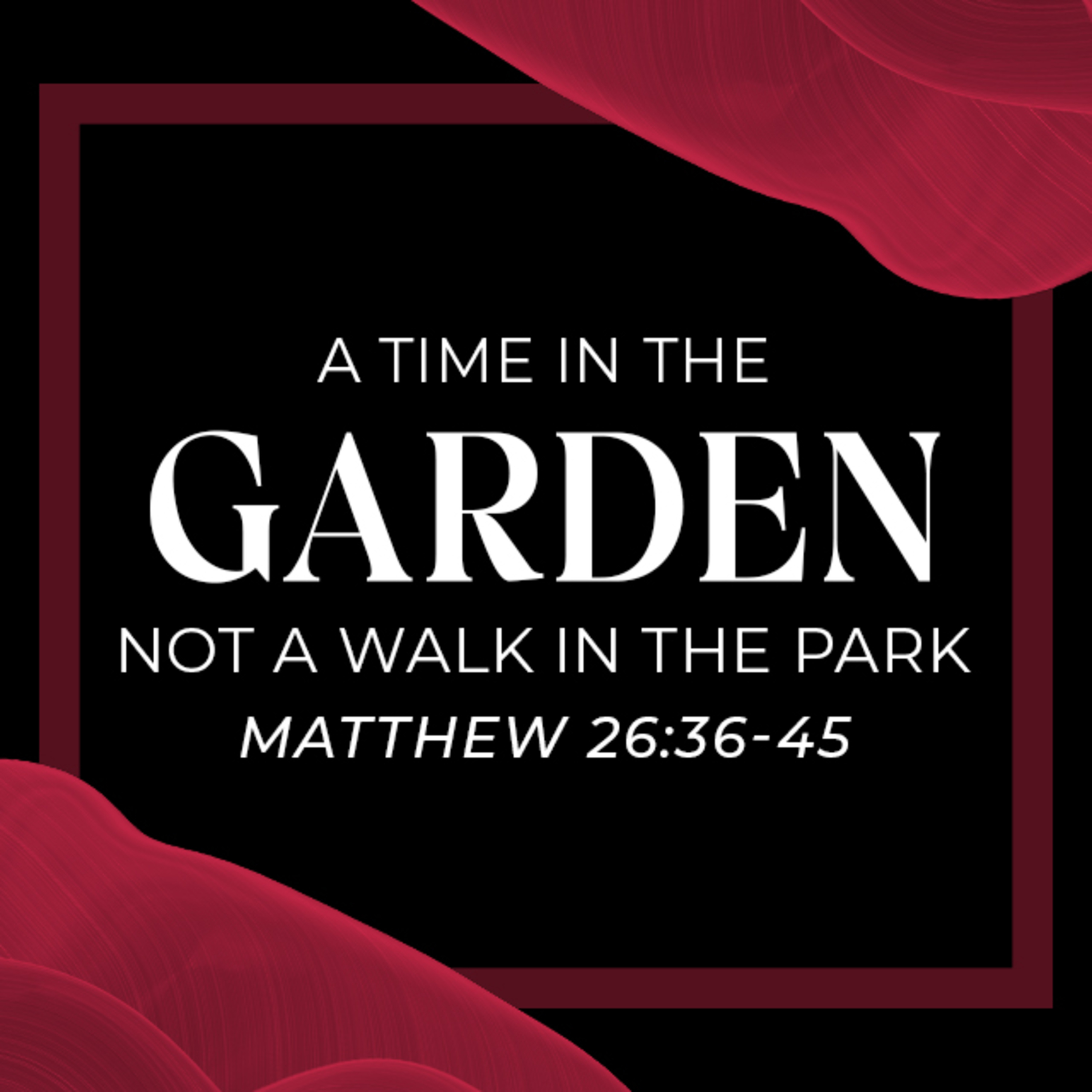 A Time in the Garden - Not a Walk in the Park – Matthew 26:36-45 episode artwork