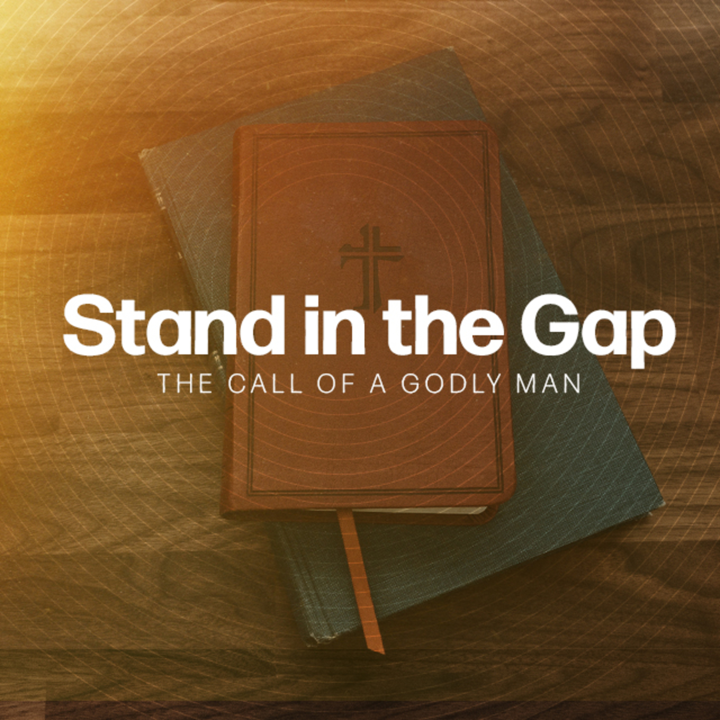 Stand in the Gap: The Call of a Godly Man – Ezekiel 22:30 episode artwork