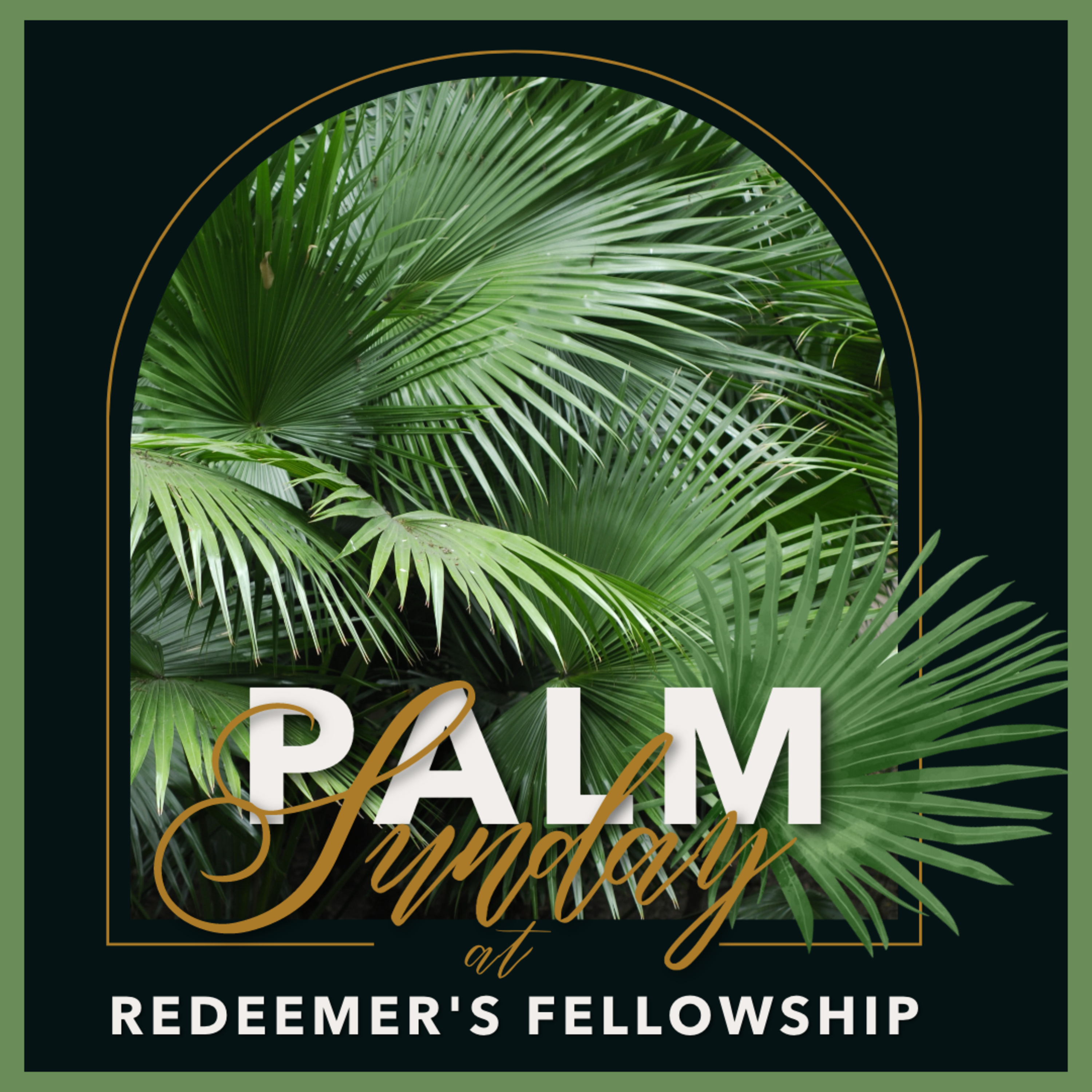 Palm Sunday 2024 | Abbie Heinrichsen episode artwork