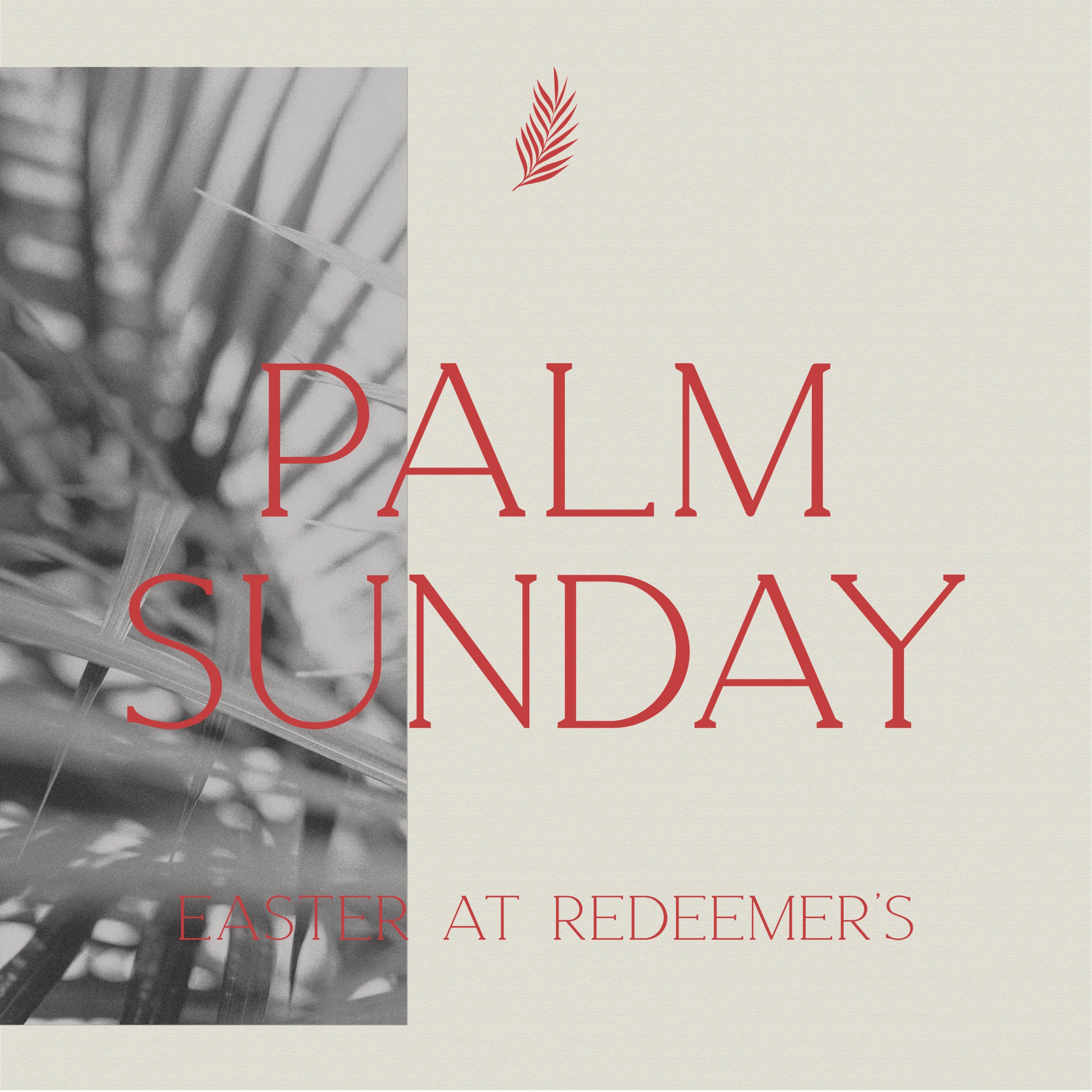 Palm Sunday: The King We Didn’t Expect | Christie Rieder episode artwork
