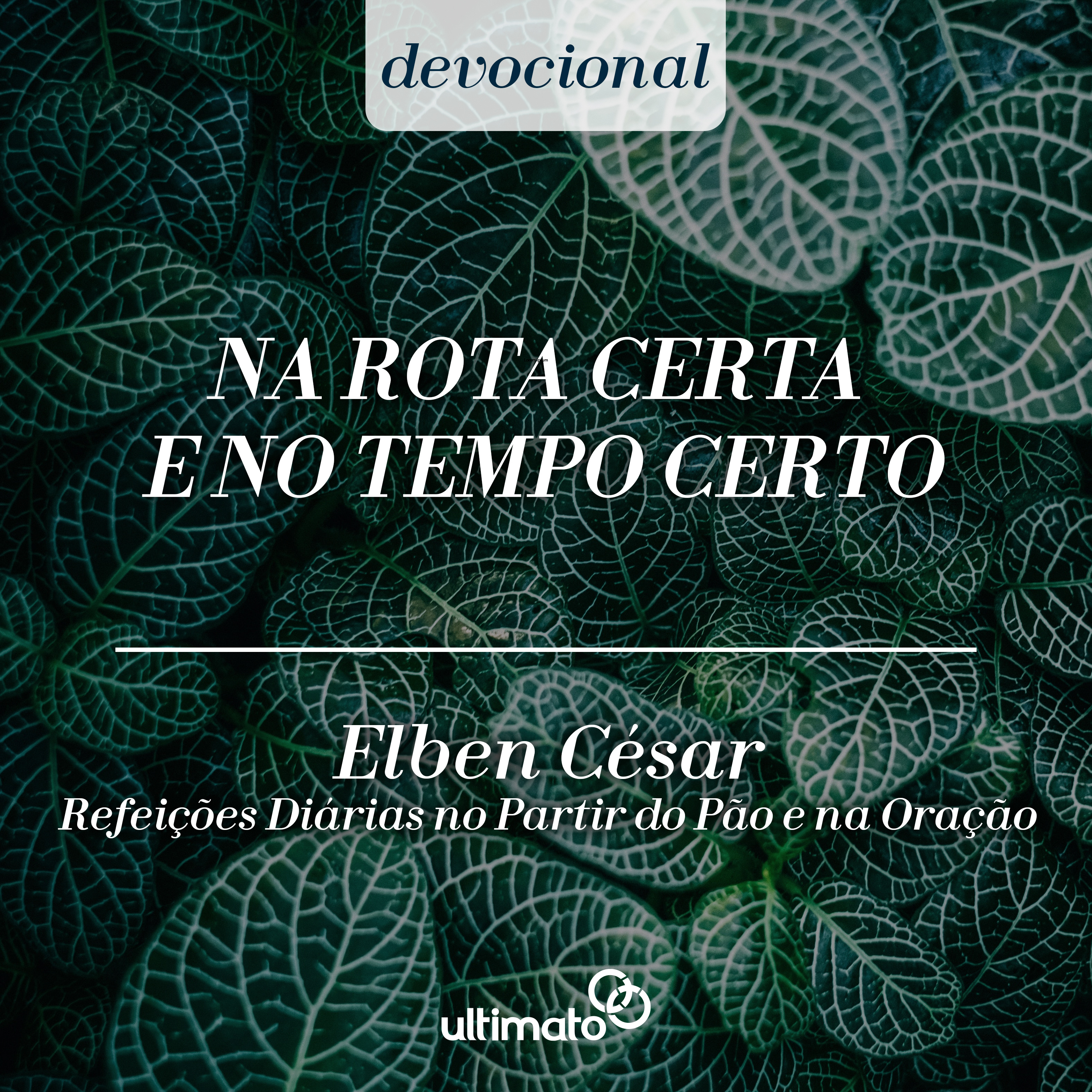 Na rota certa e no tempo certo