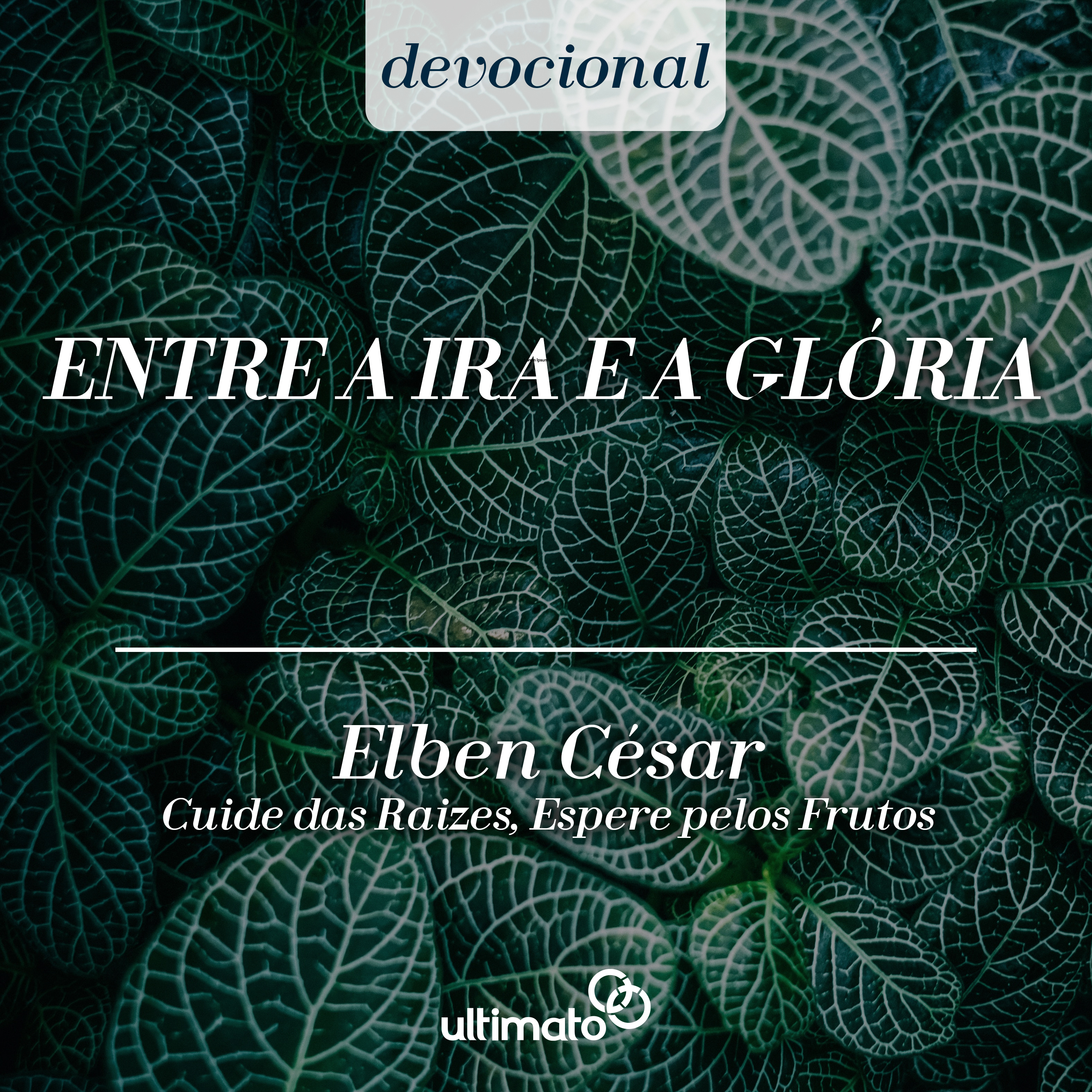 Entre a ira e a glória