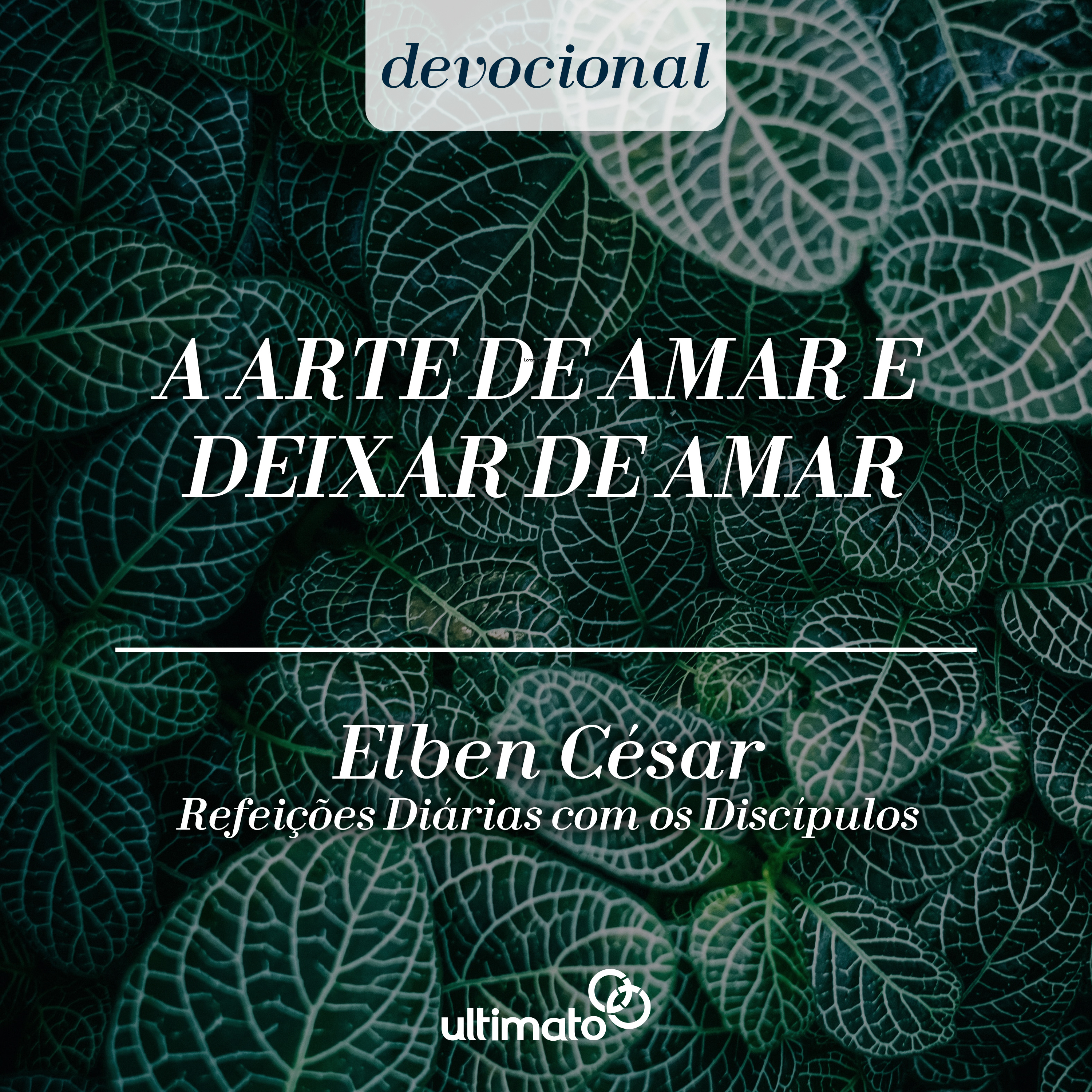 A arte de amar e deixar de amar