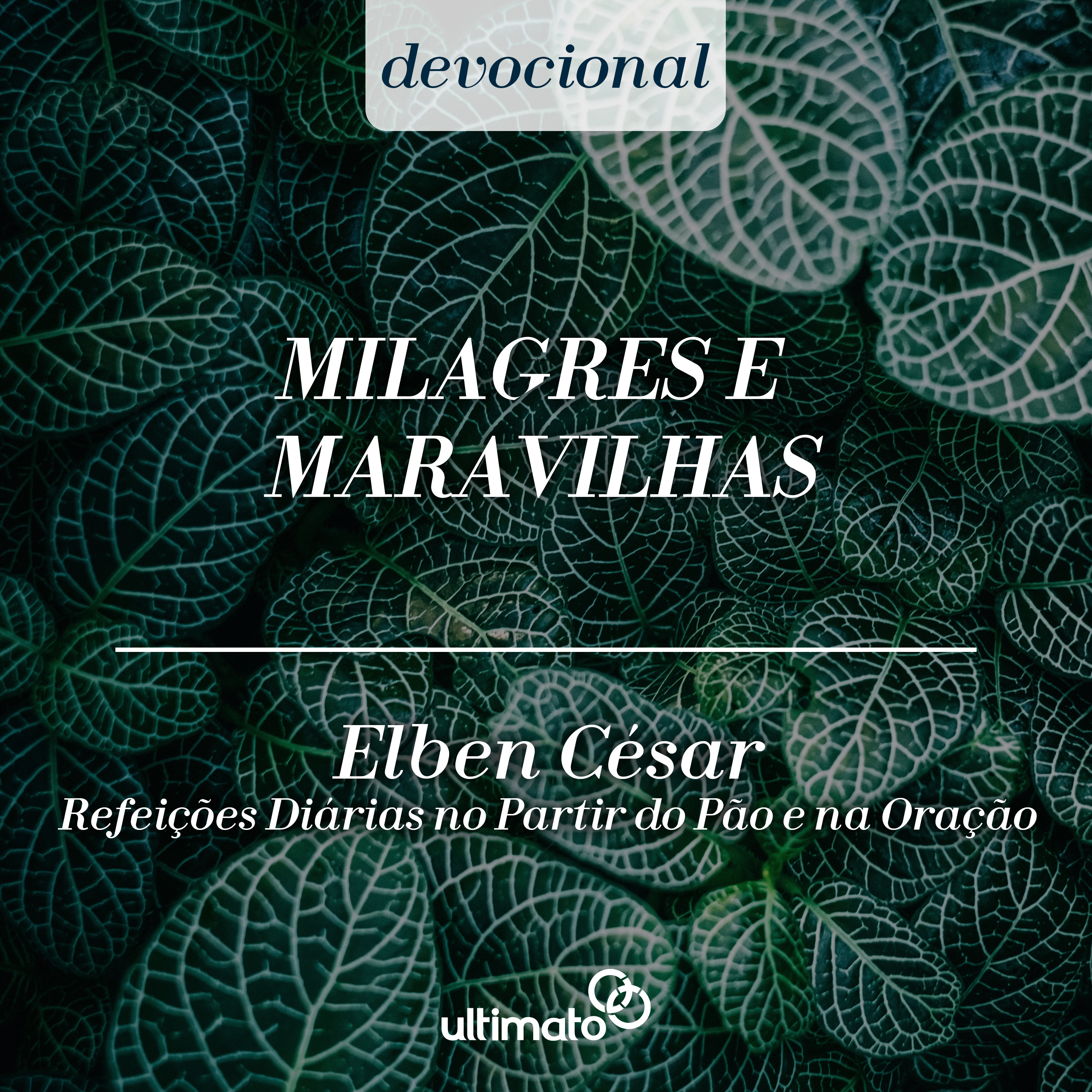 Milagres e maravilhas