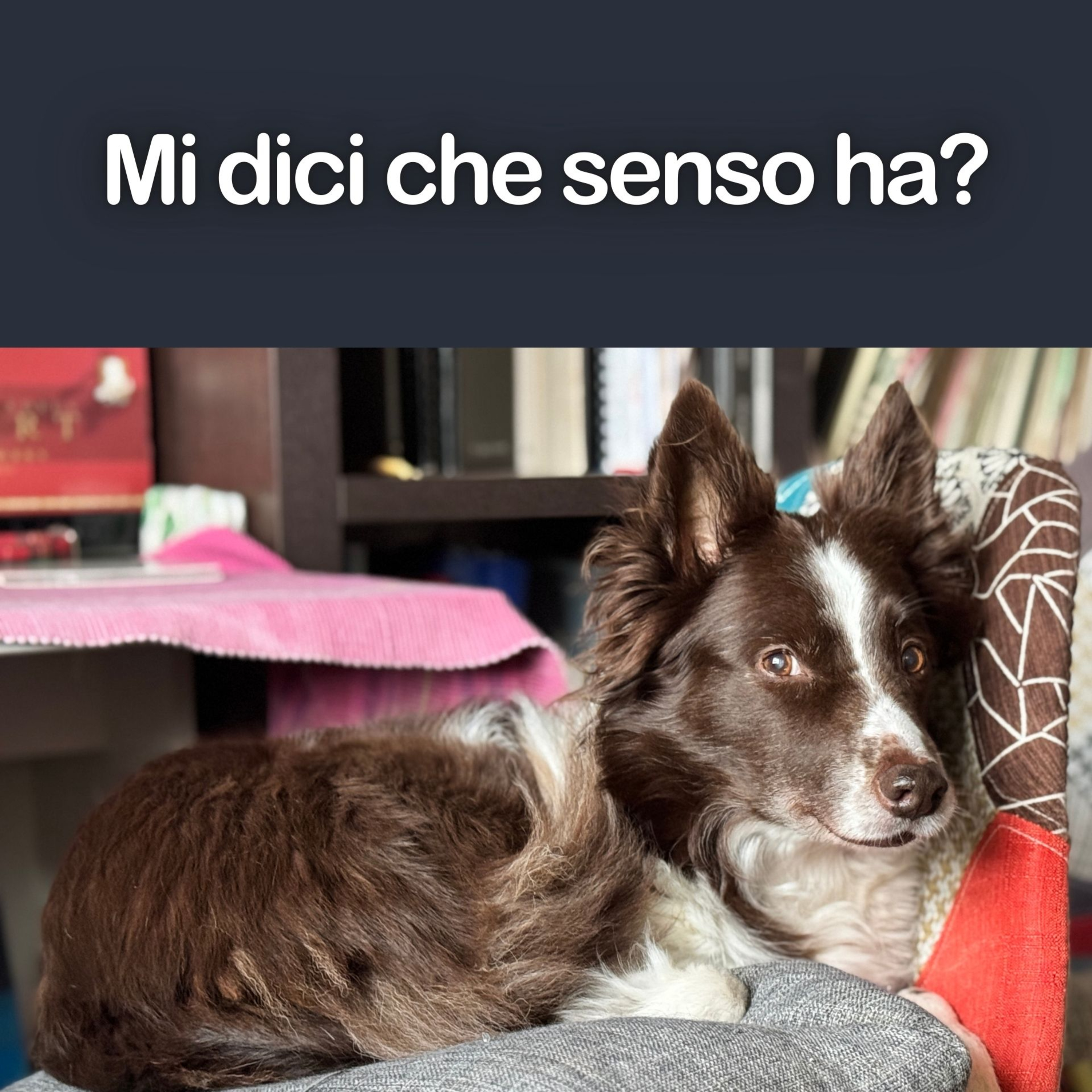 Mollare tutto o andare avanti? episode artwork