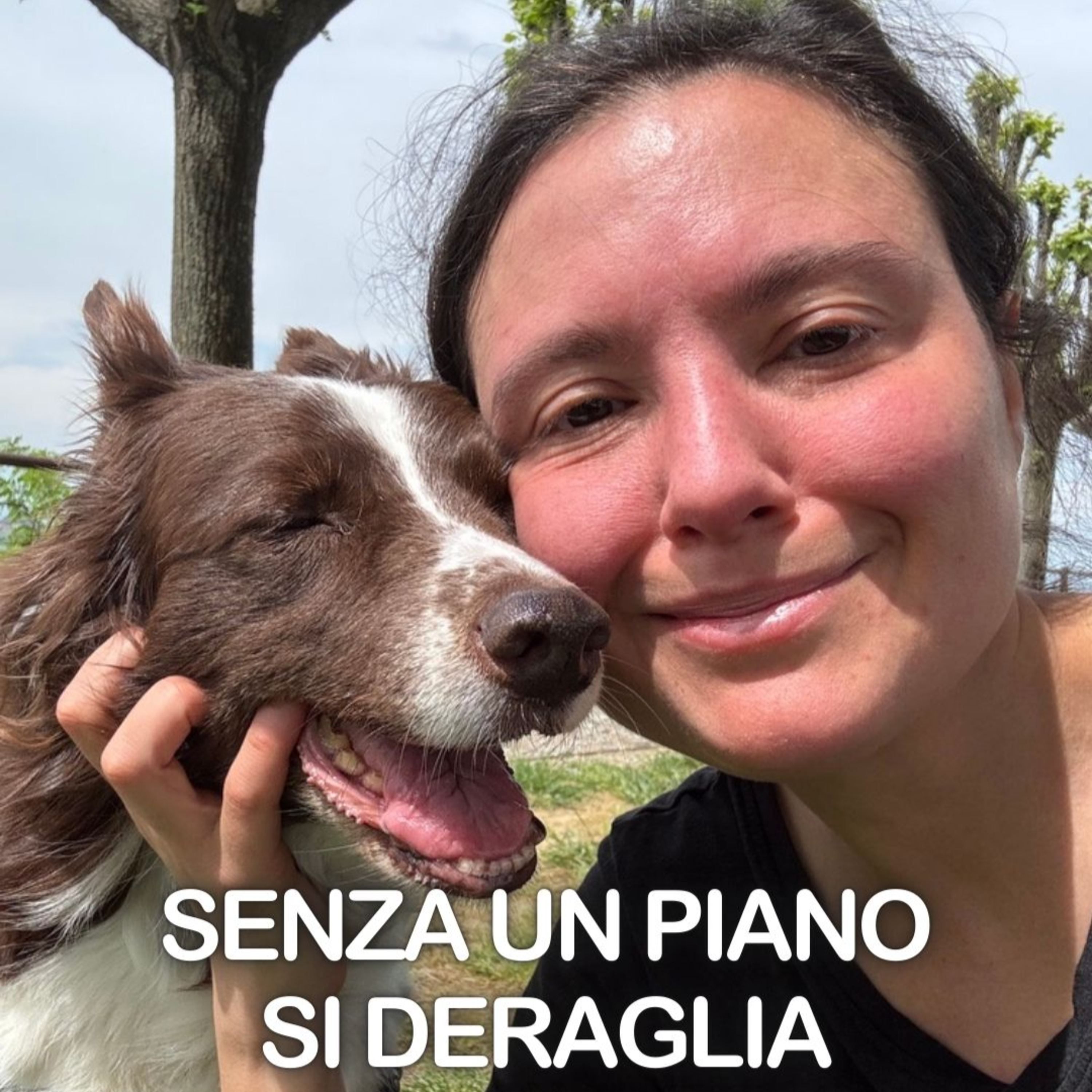 SENZA UN PIANO si DERAGLIA episode artwork