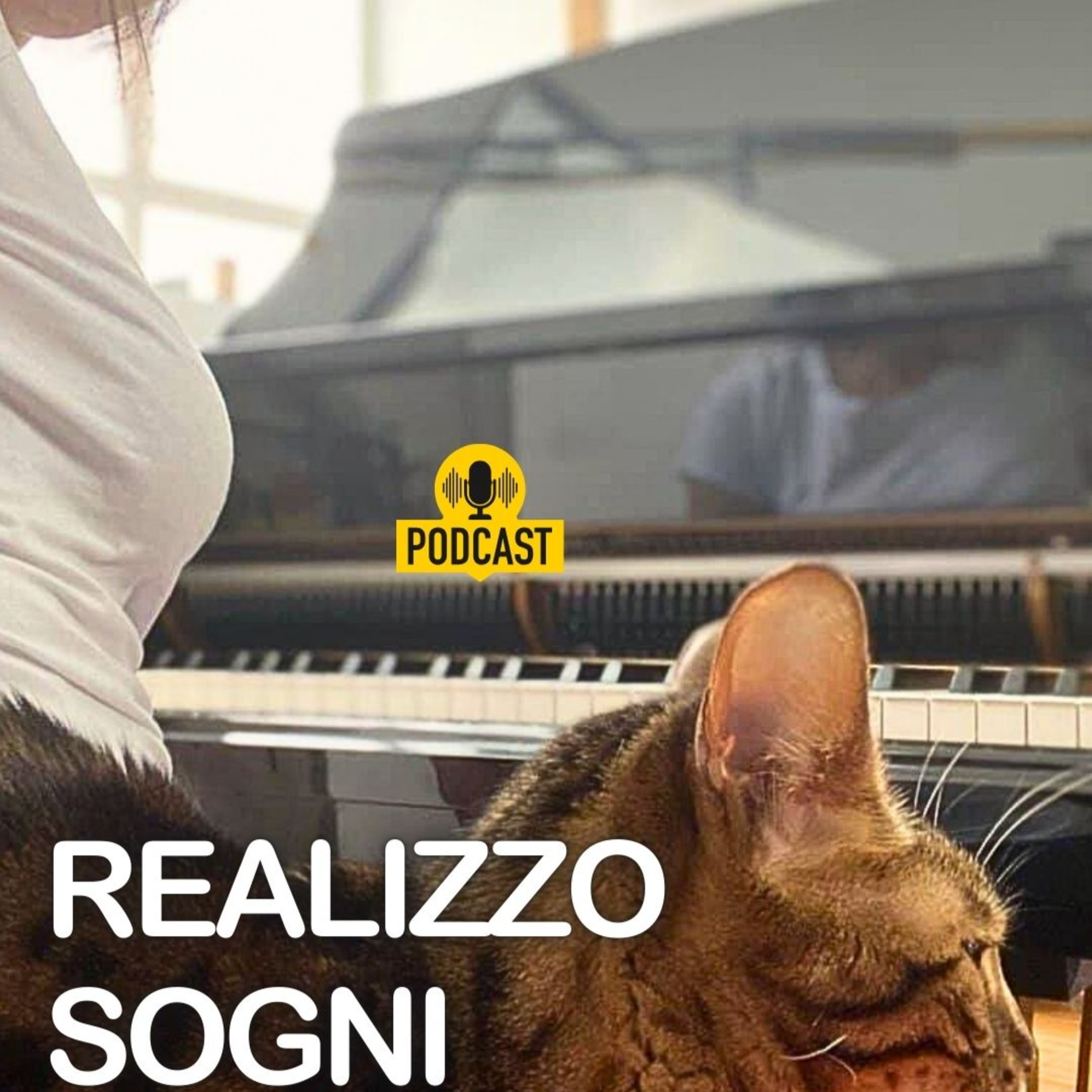 Realizzare sogni è un'attività urgente. episode artwork