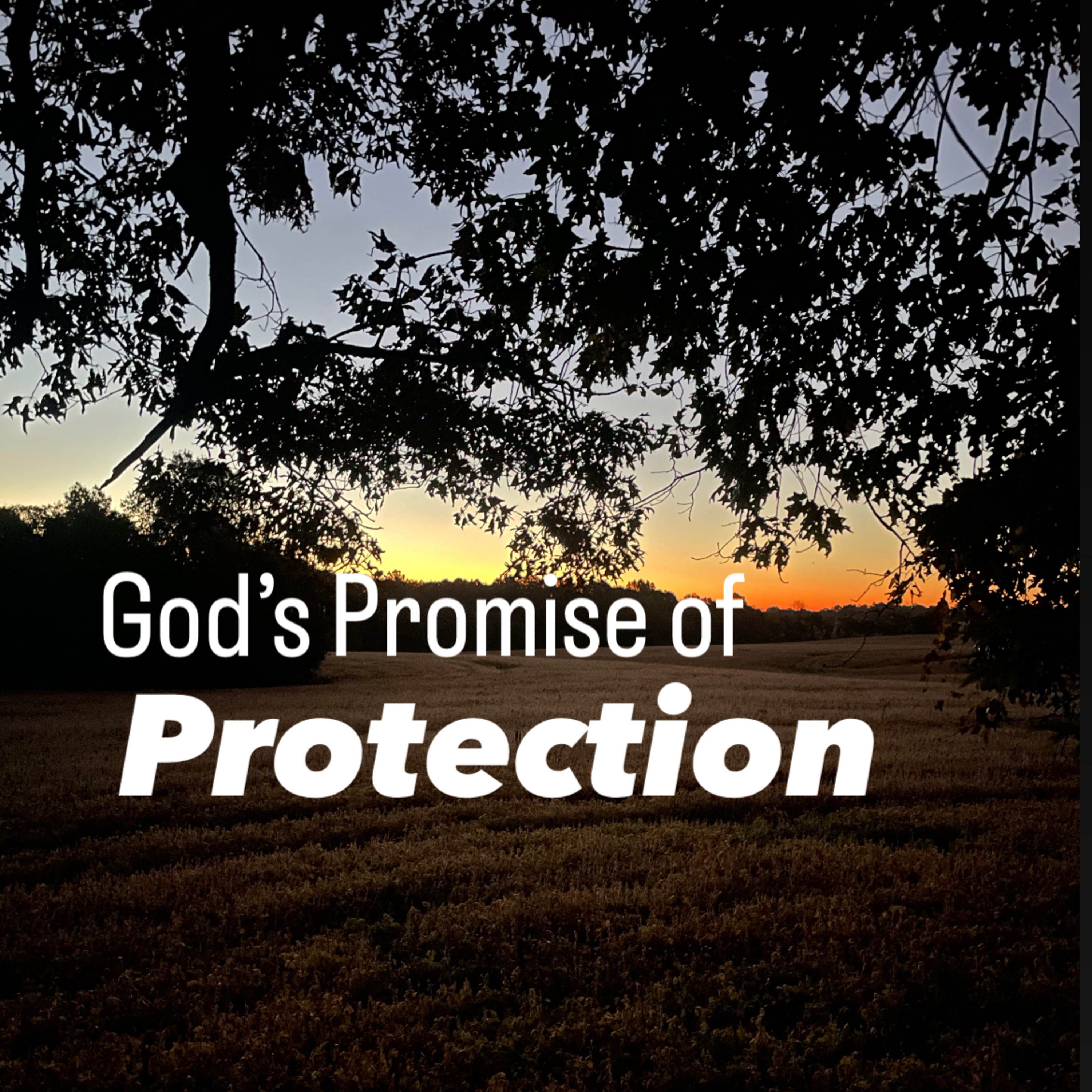 Living The Abundant Life with Rob & Sarah Betts