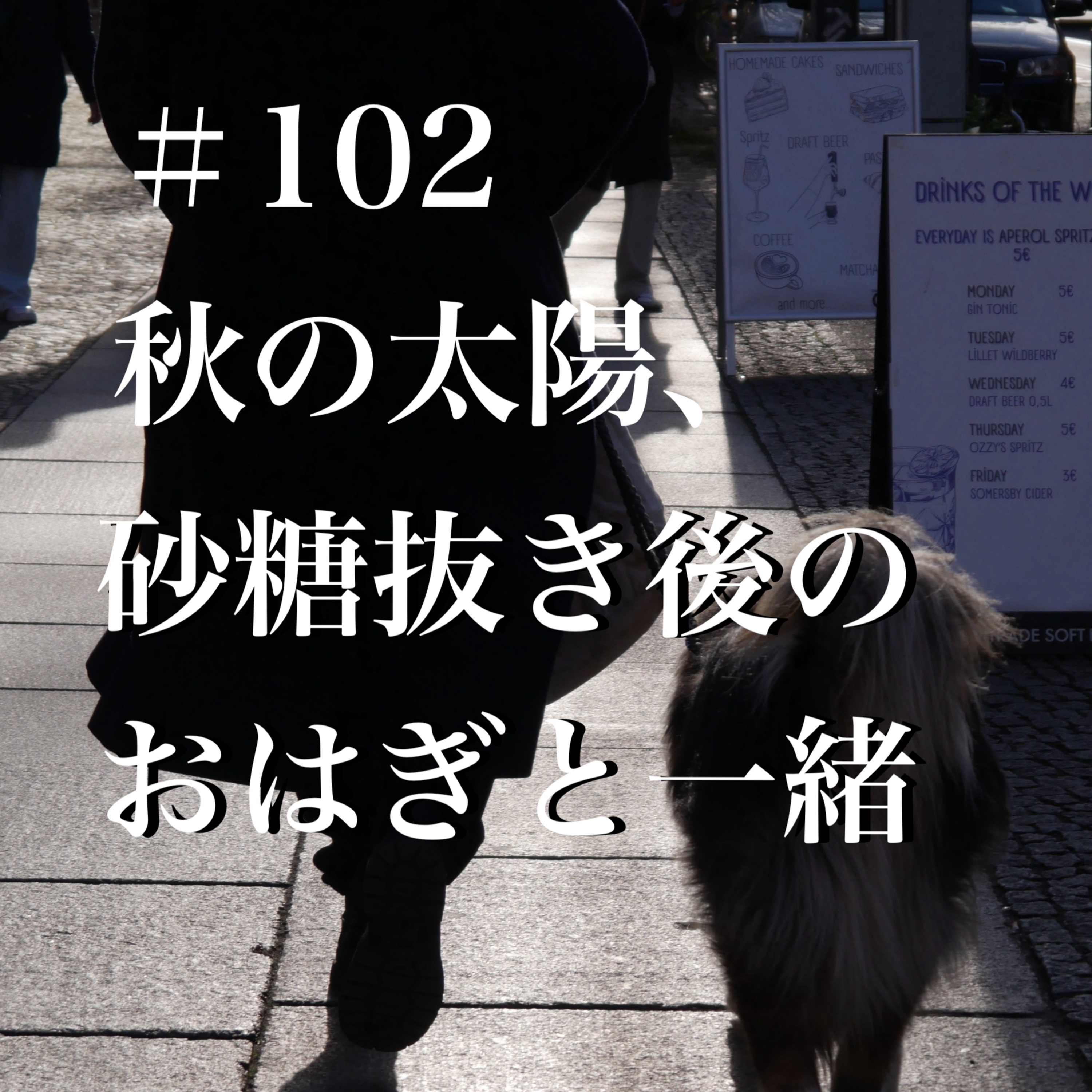 #102 秋の太陽、砂糖抜き後のおはぎと一緒 episode artwork