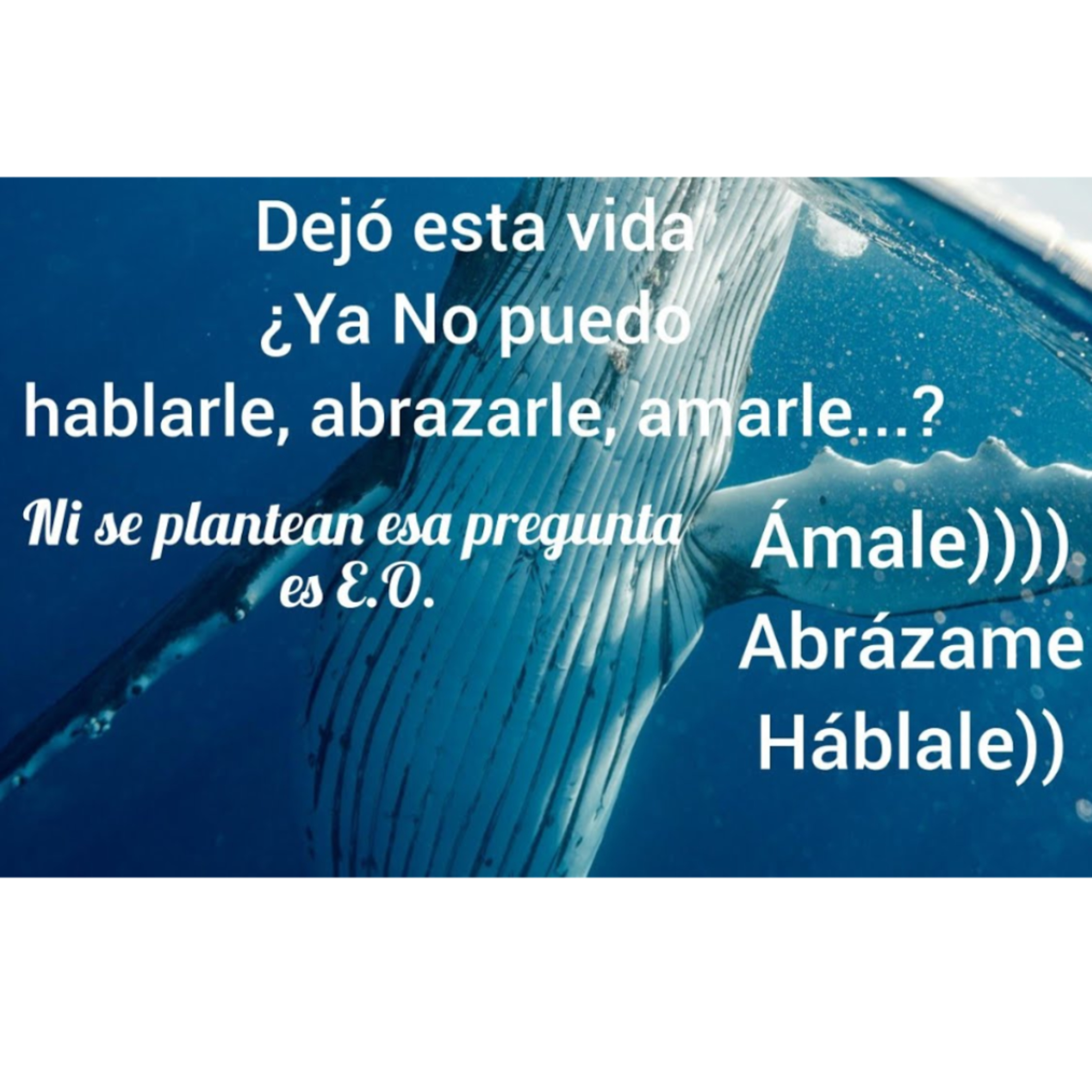 Portada de susurrandoaldolor