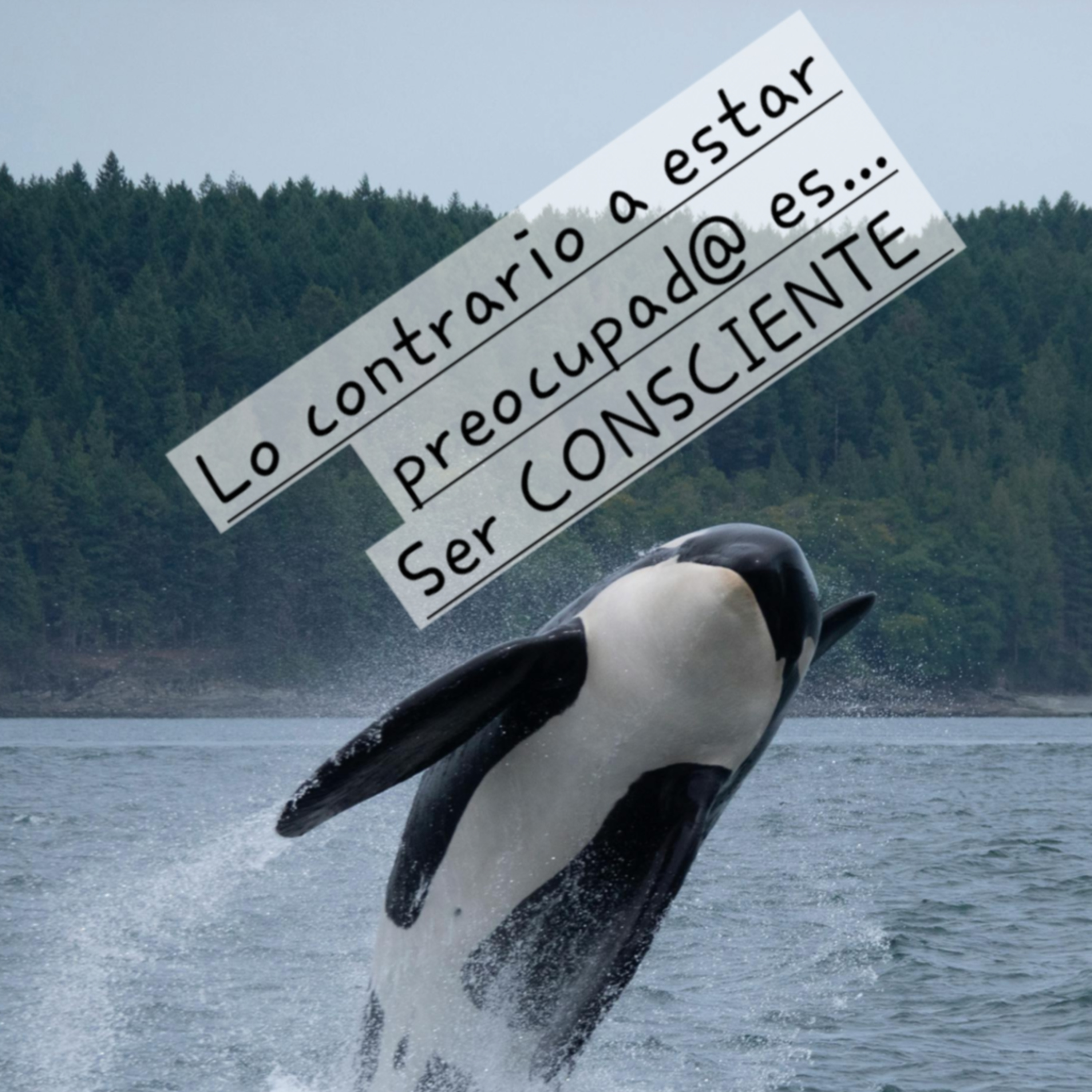 Portada de susurrandoaldolor