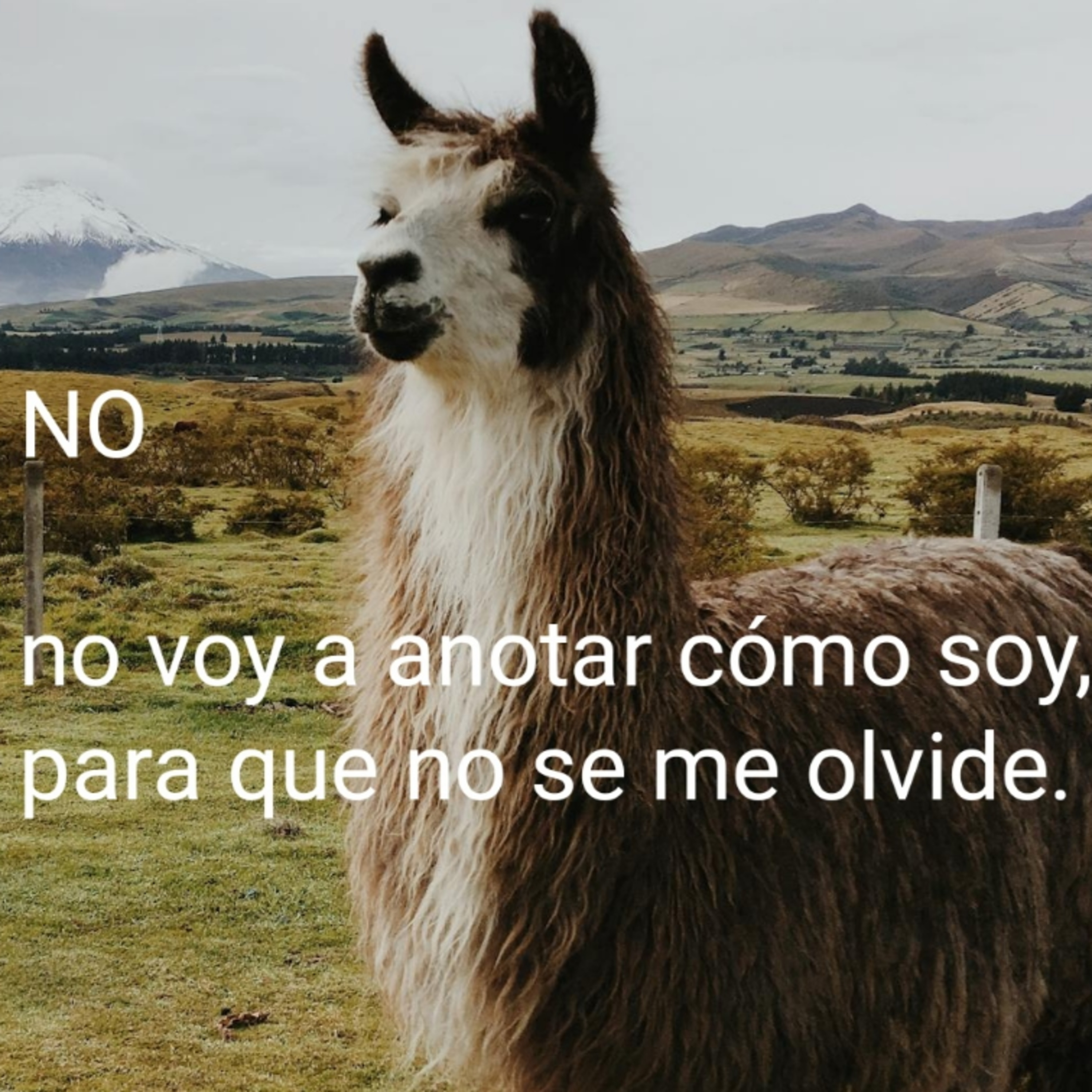 Portada de susurrandoaldolor