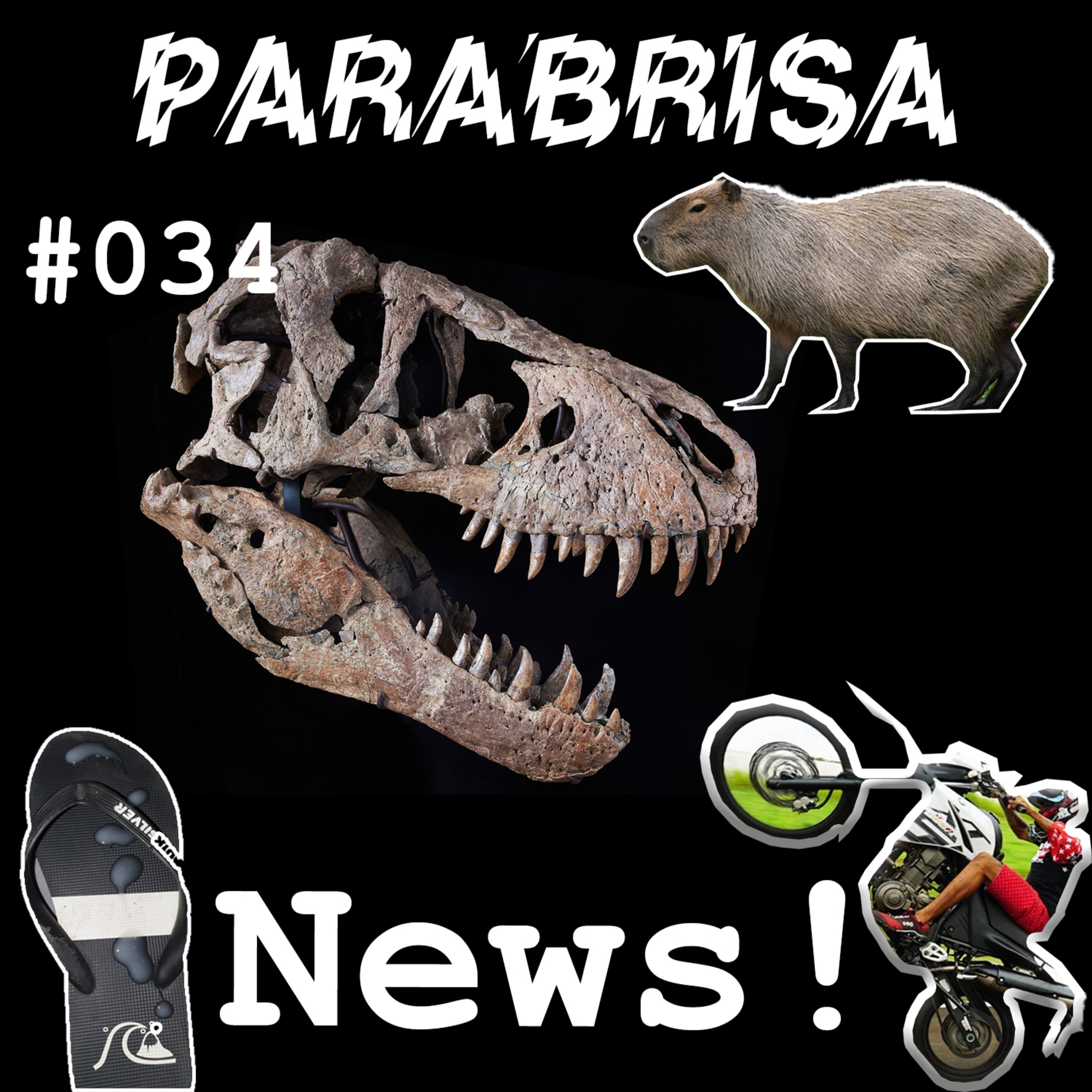 Parabrisa