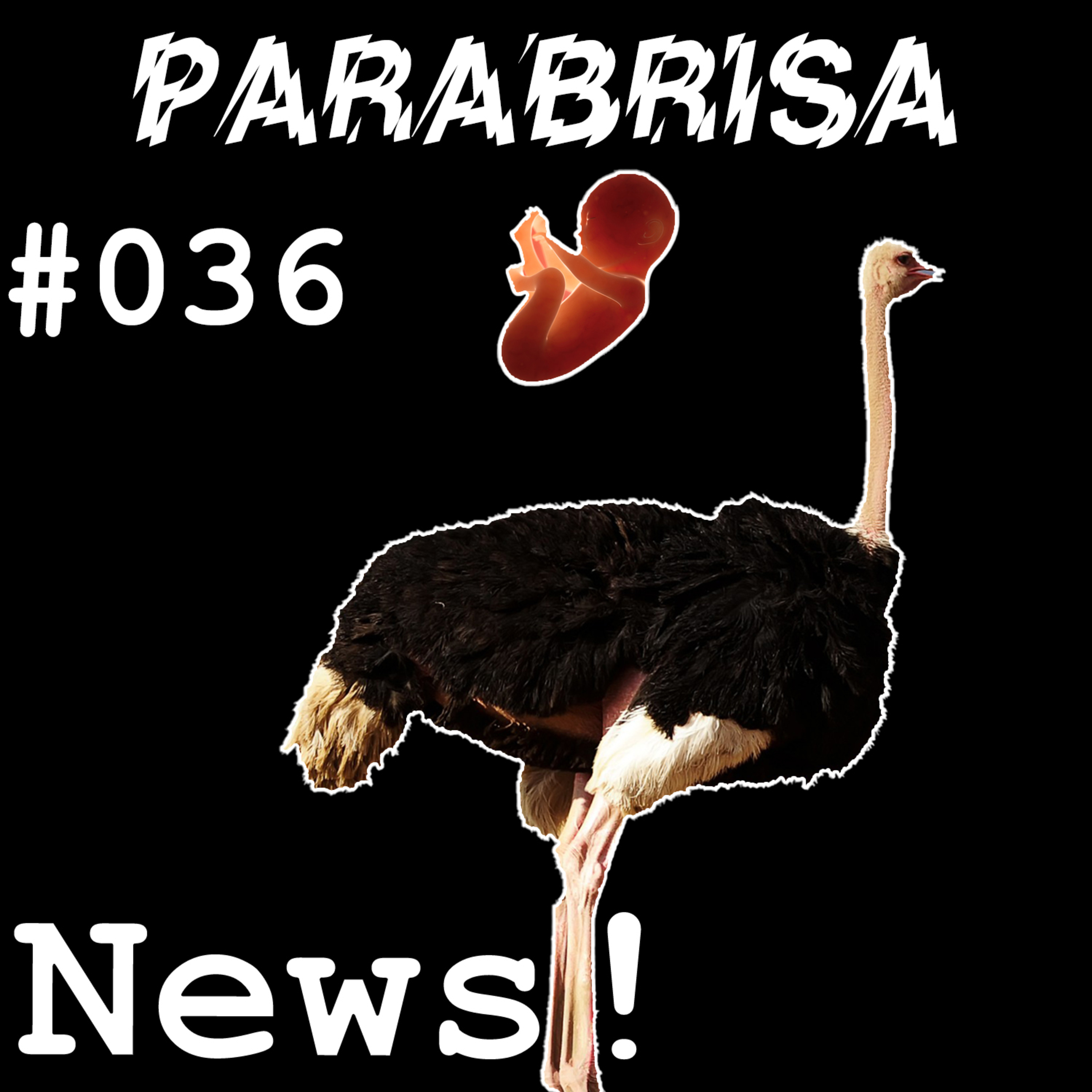 Parabrisa