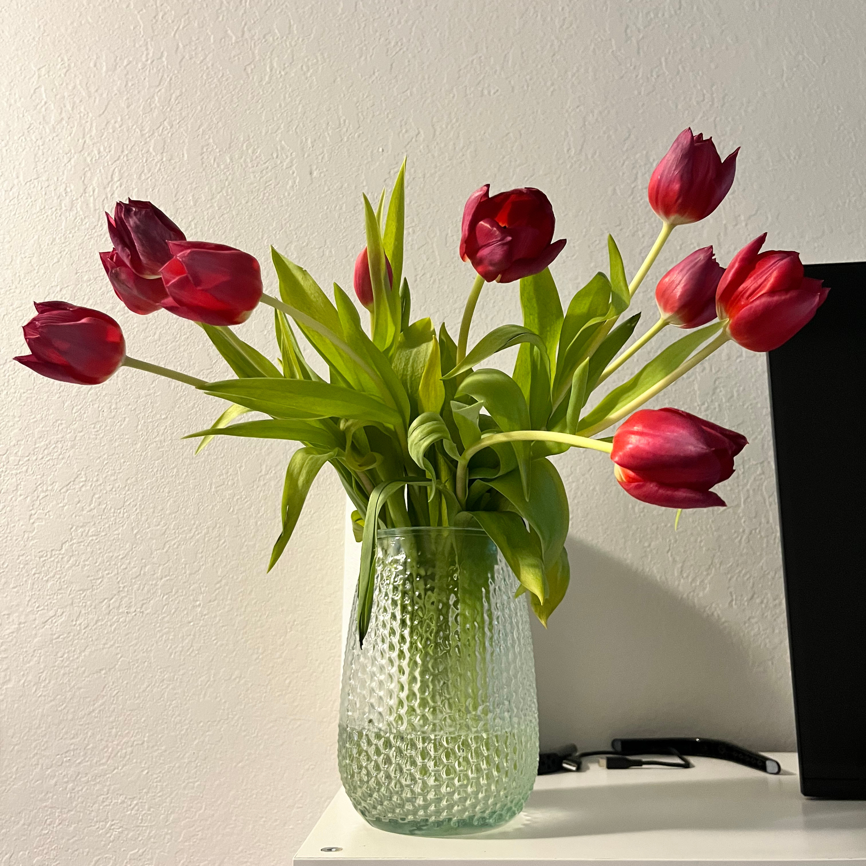 Do Not Give Her Tulips 🌷 episode artwork