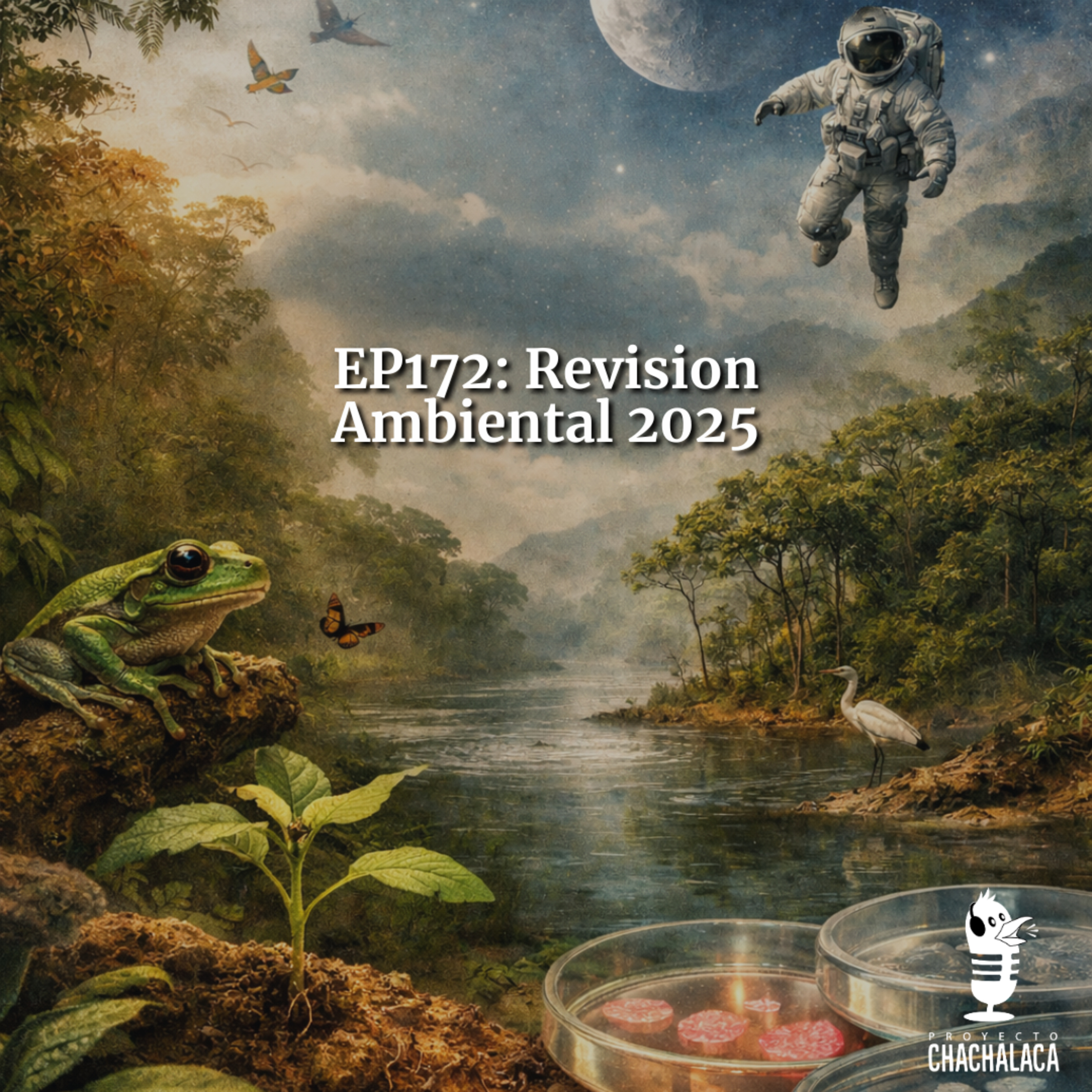 EP172: Revision Ambiental 2025 episode artwork