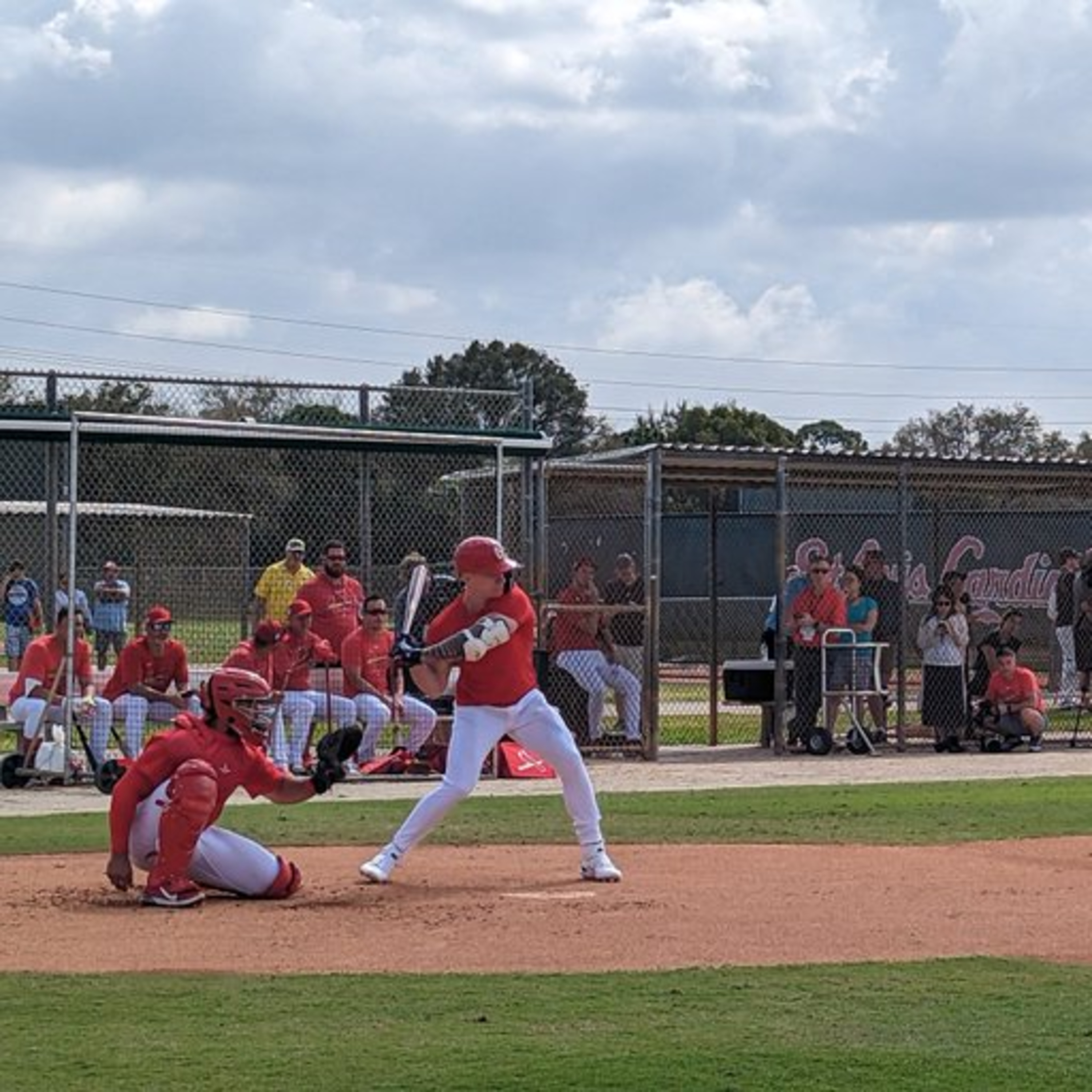B-Schaeff Daily: St. Louis Cardinals Talk, Every Day