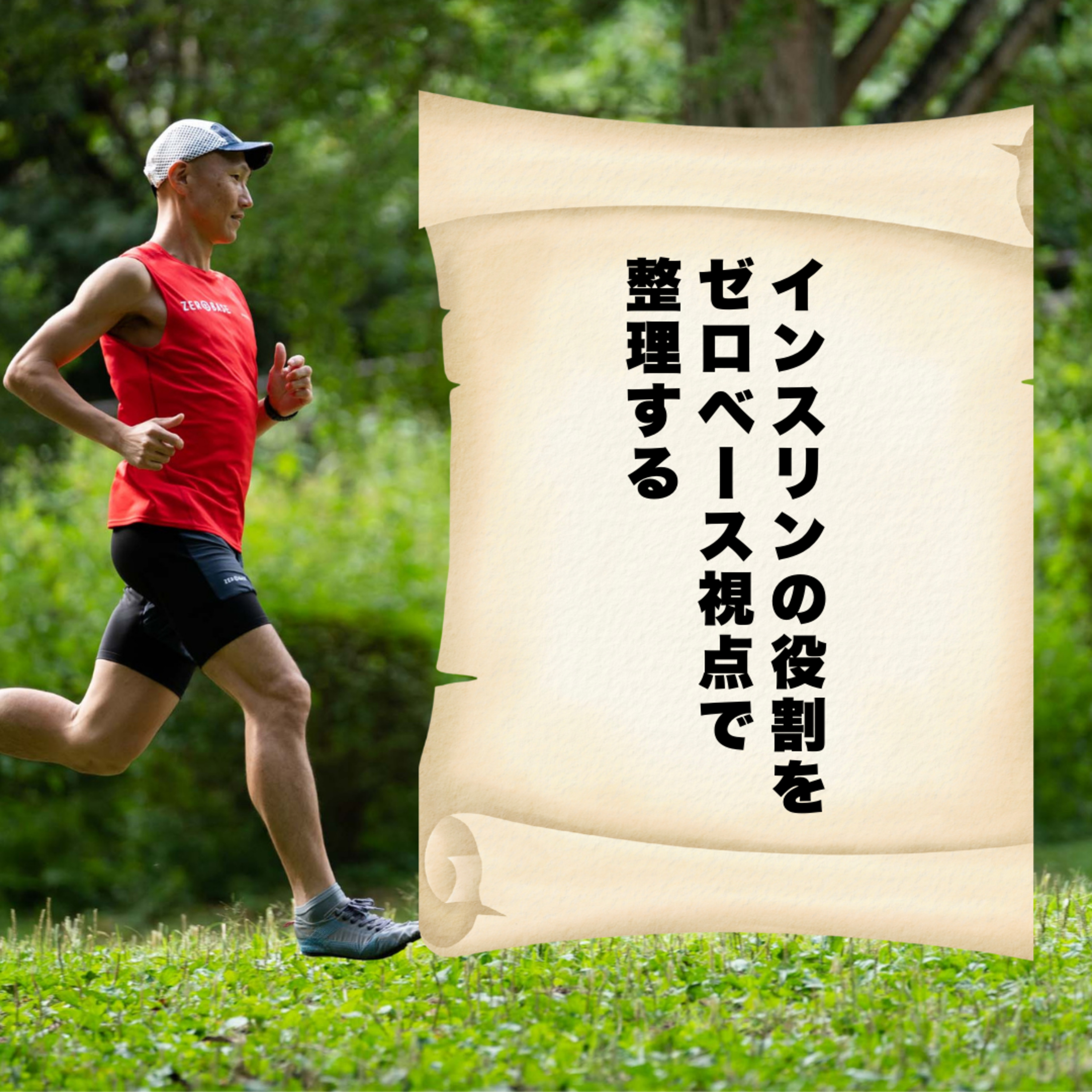 インスリンの役割をゼロベース視点で整理する