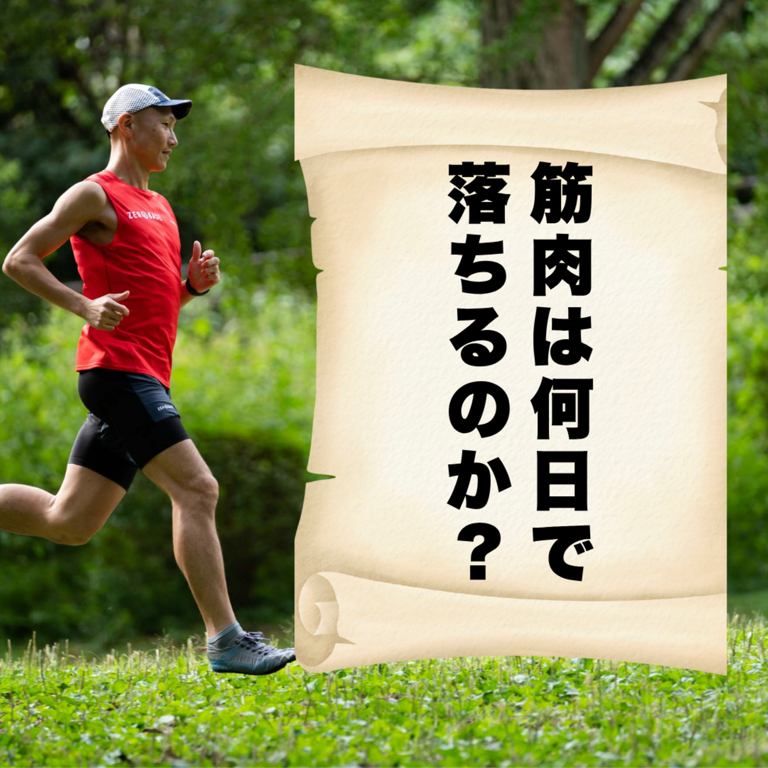 筋肉は何日で落ちるのか？