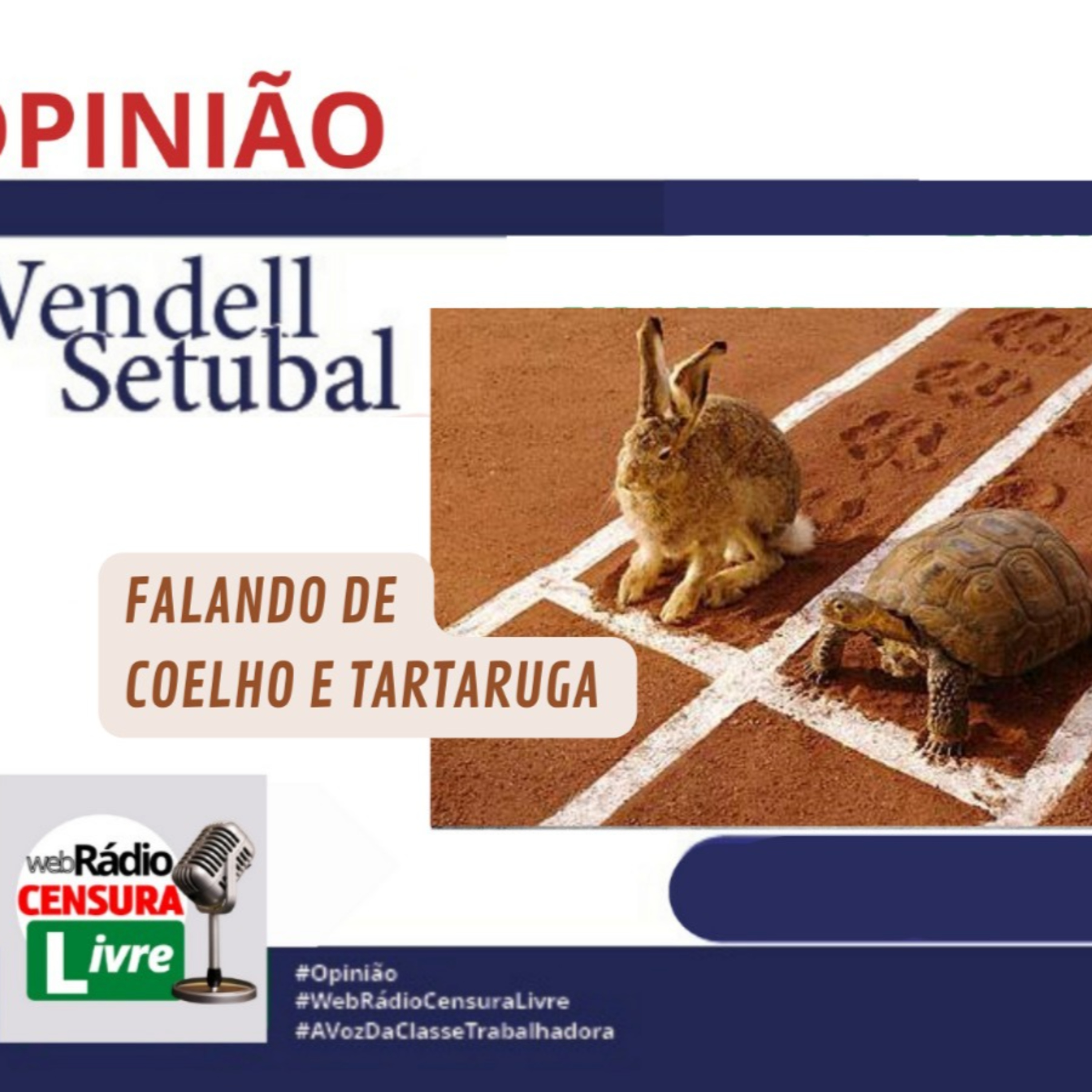 OPINIÃO - Falando de coelho e tartaruga (10/04/2024) episode artwork