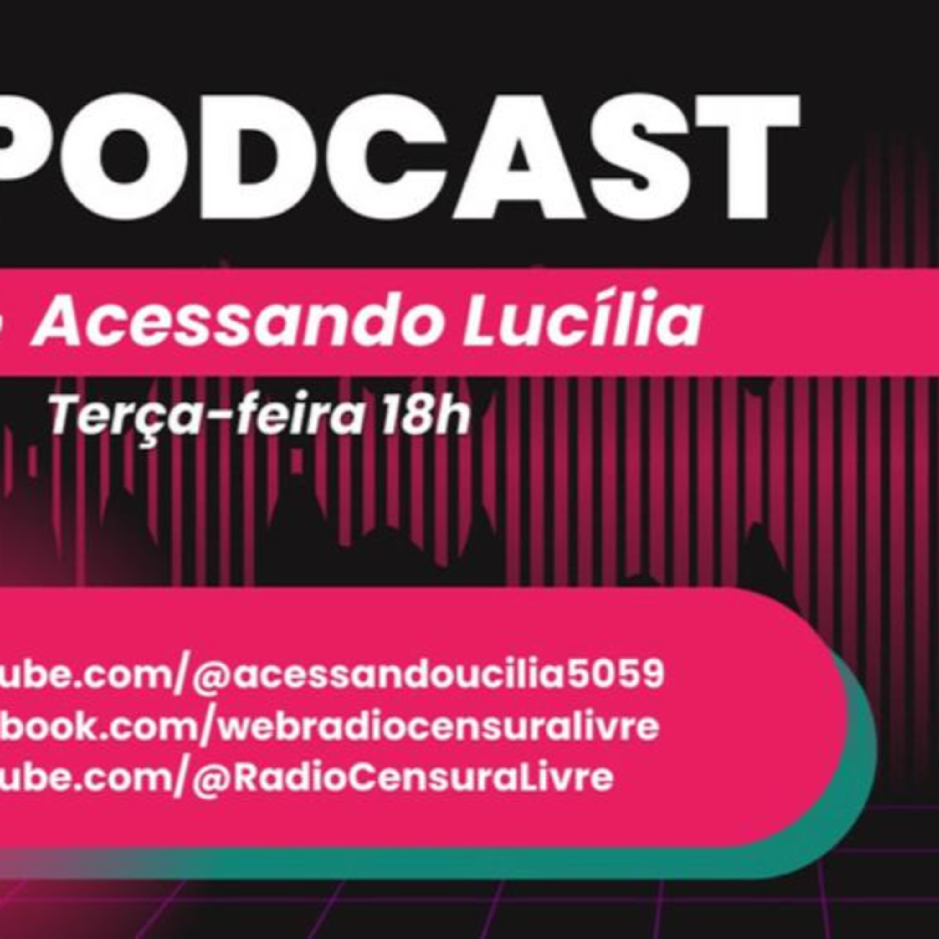 ACESSANDO LUCÍLIA - Inclusive News: Encontro e Parceria (16/04/2024) episode artwork
