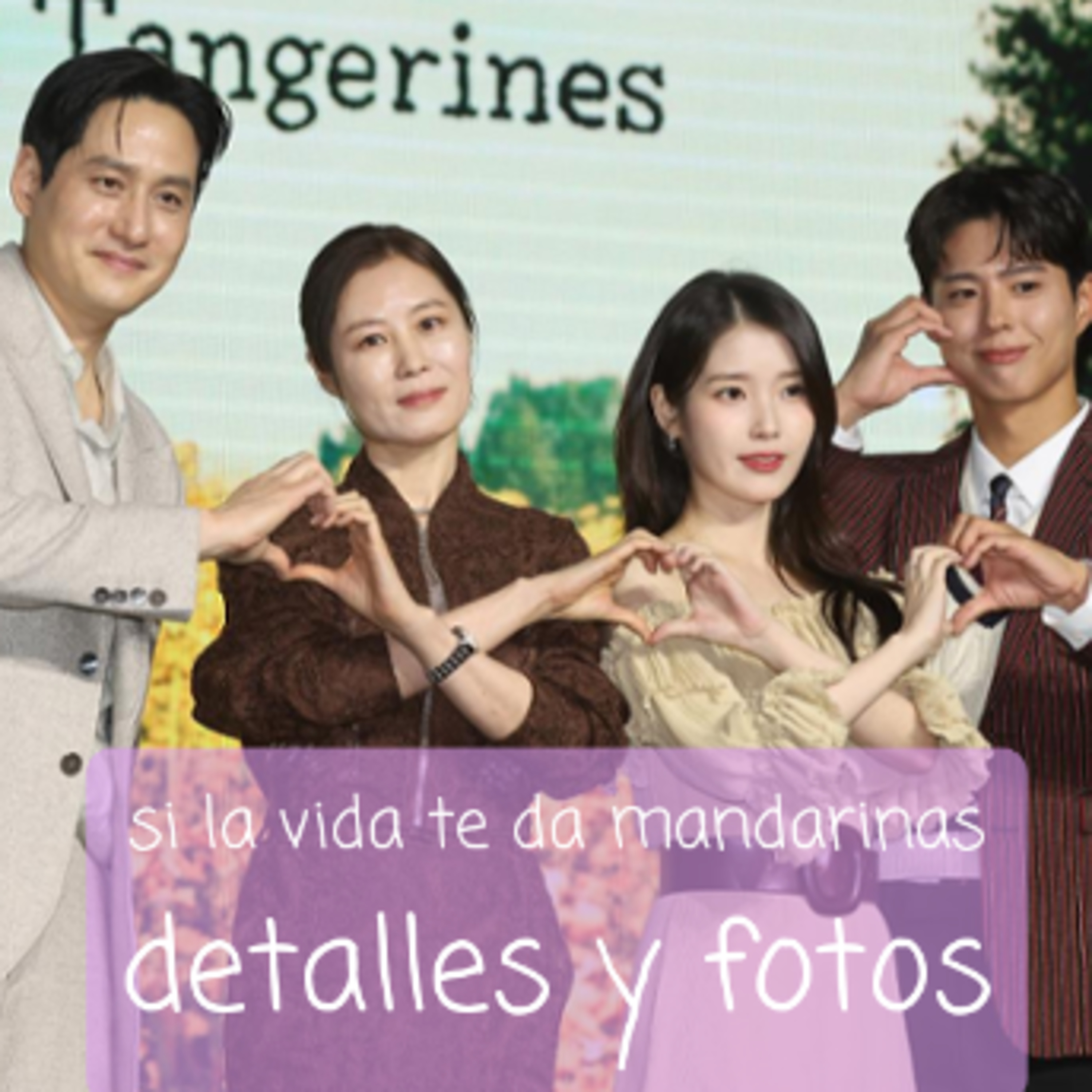 Si la vida te da mandarinas detalles y fotos