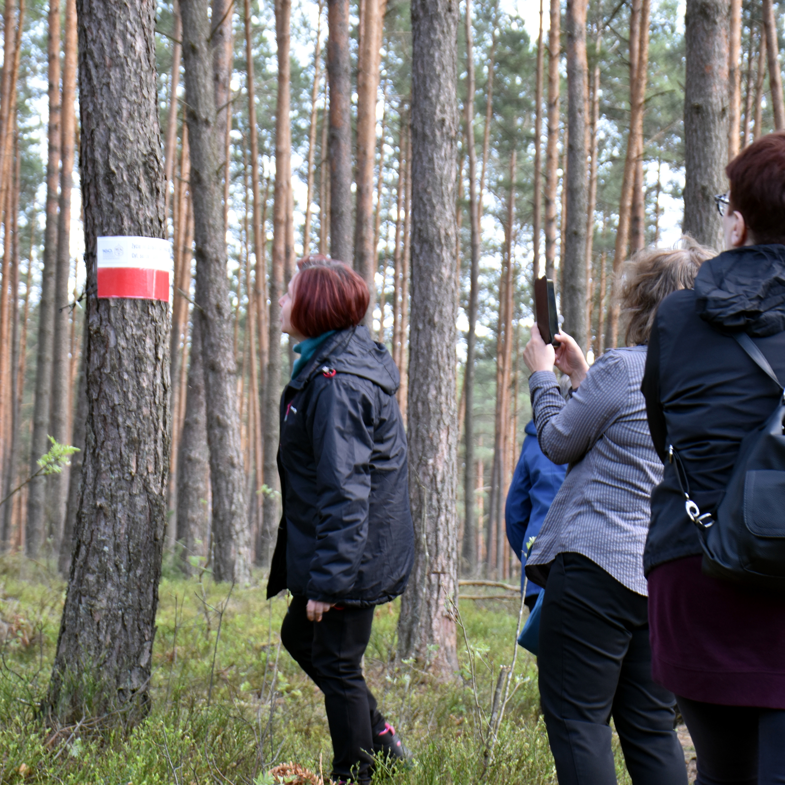 Dominik Gil „Lekcje na powstańczym szlaku”