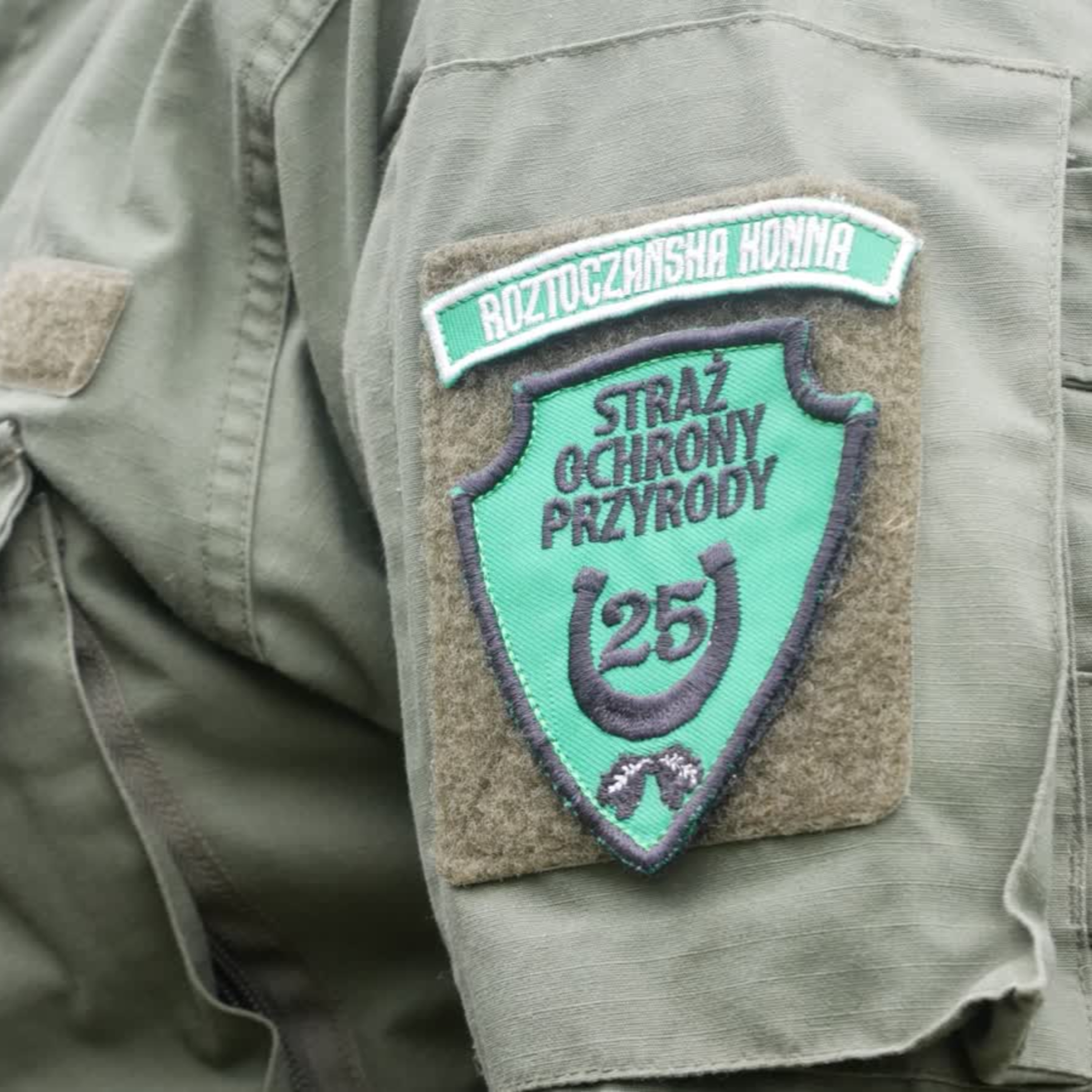 Mariusz Kamiński "Roztoczańska Konna"