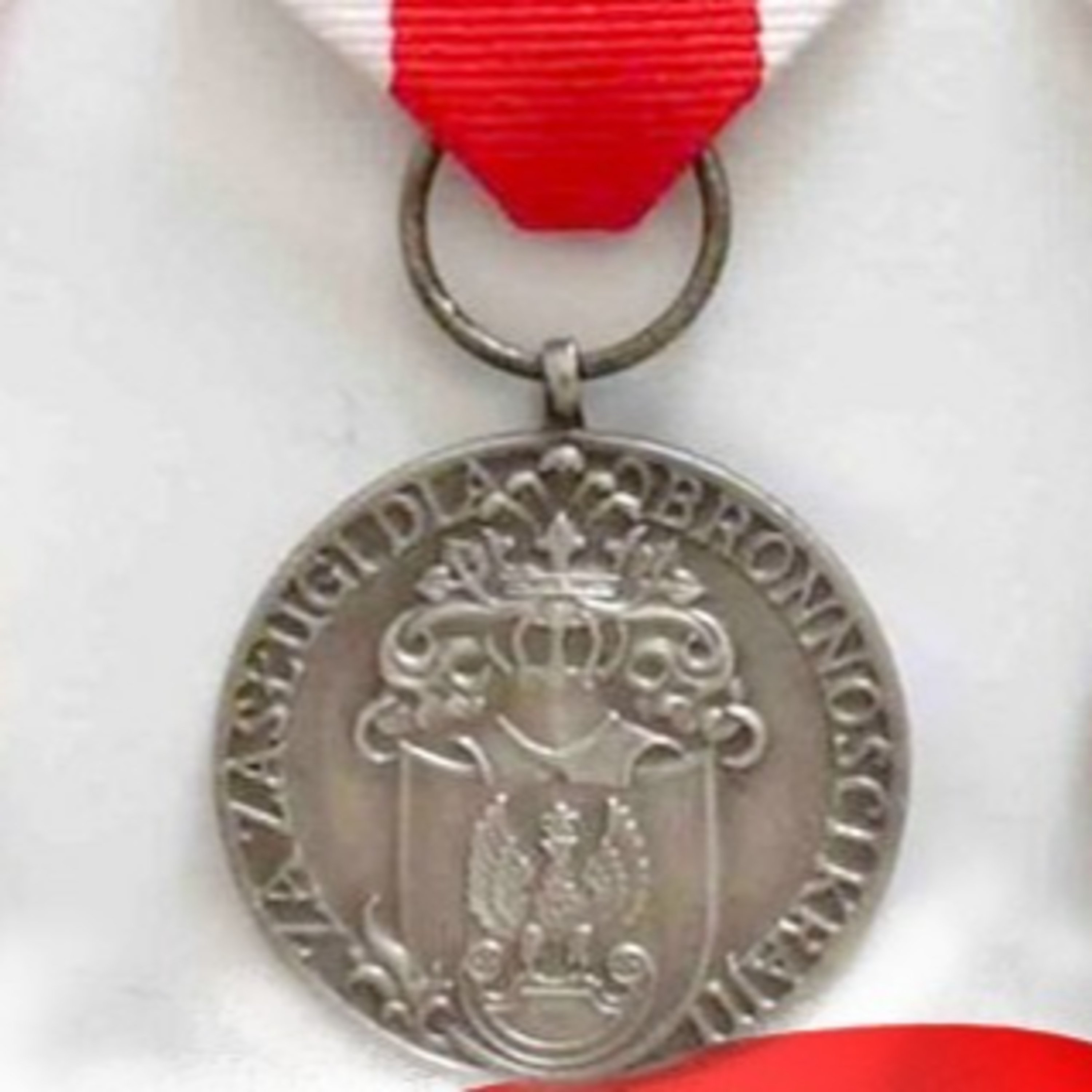 Katarzyna Michalak "Medal za synów"