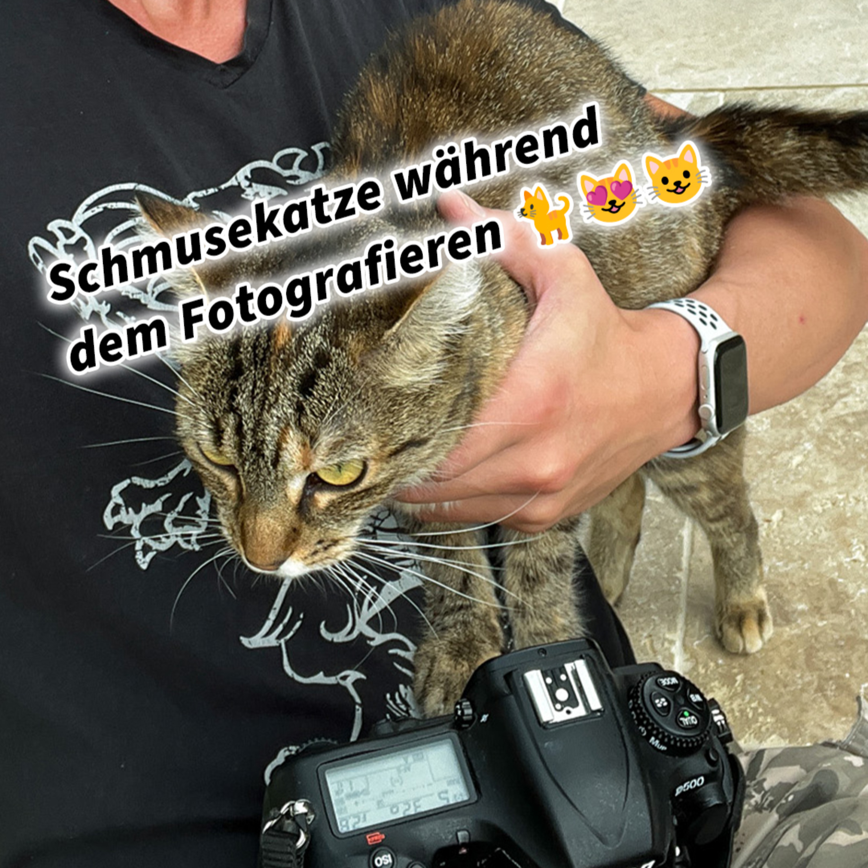 Schmusekatze während dem Fotografieren 🐈😻😺 Katzenfotos und Katzenvideos im Internet in Social Media für dein Business episode artwork