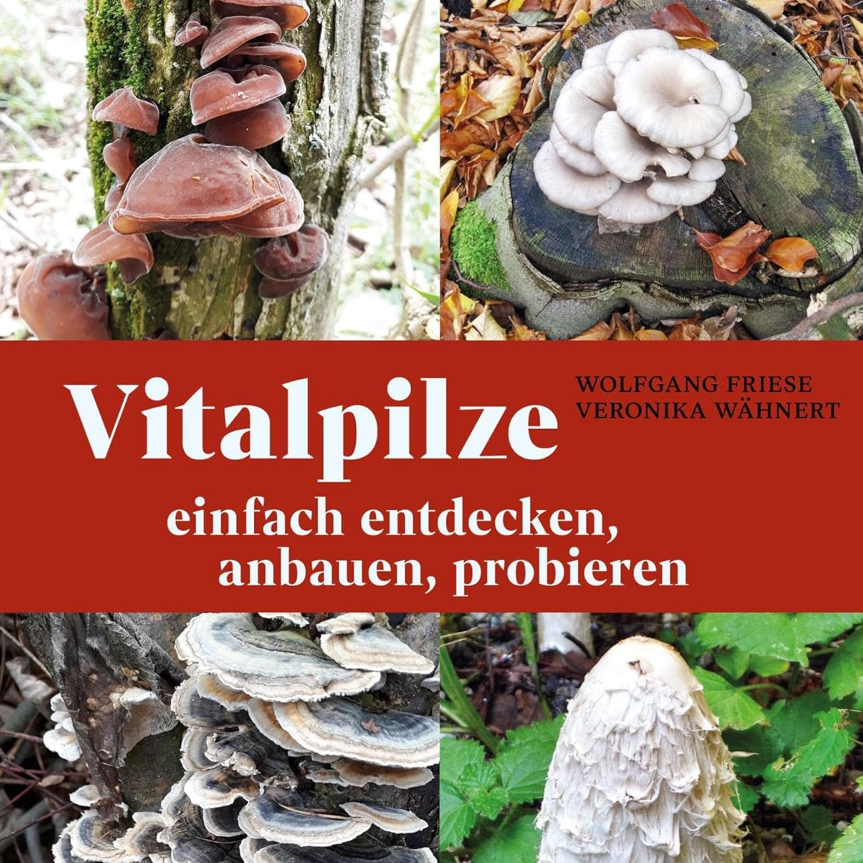 Vitalpilze: einfach entdecken, anbauen, probieren von Wolfgang Friese und Veronika Wähnert episode artwork