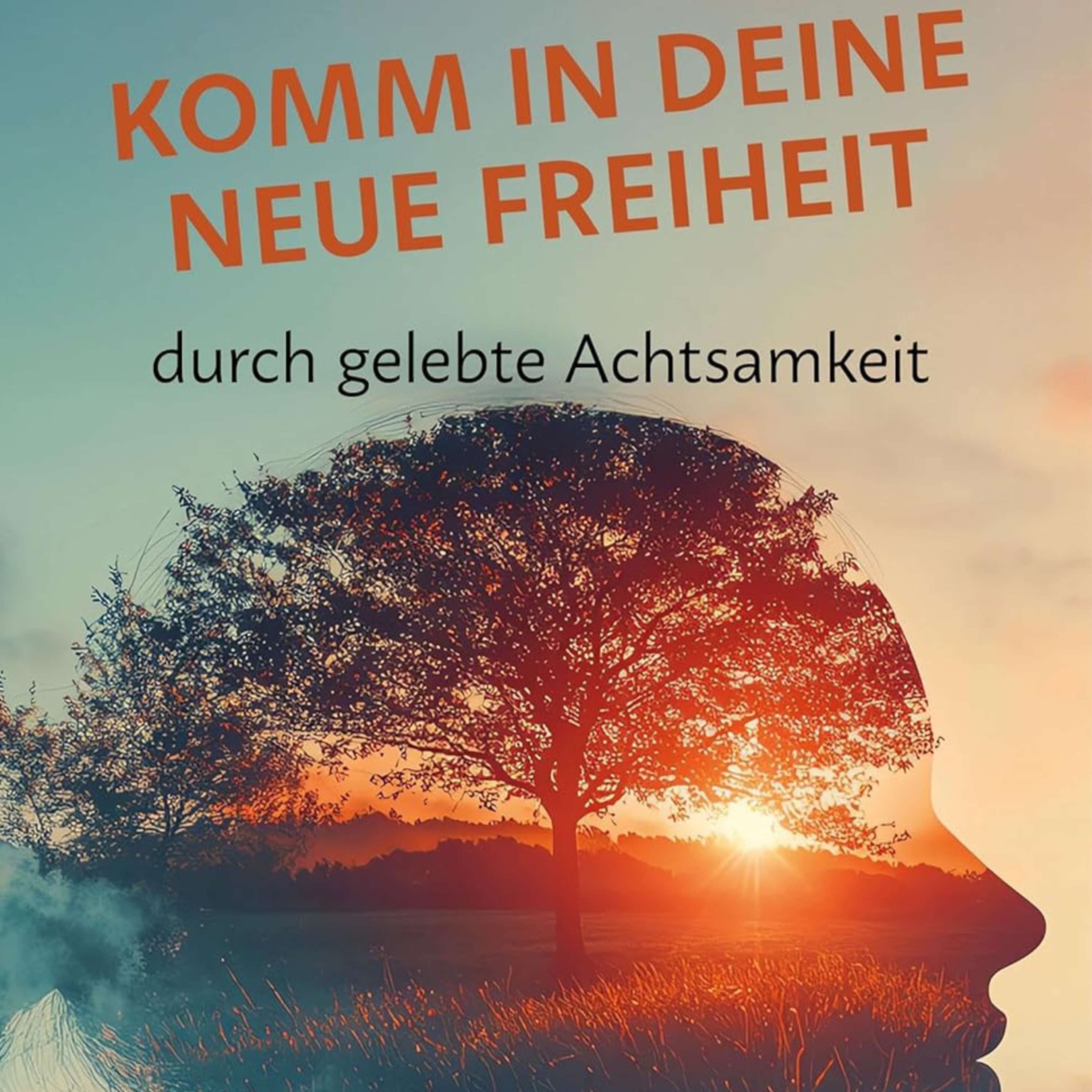 Komm in deine neue Freiheit: durch gelebte Achtsamkeit von Werner Buchberger episode artwork