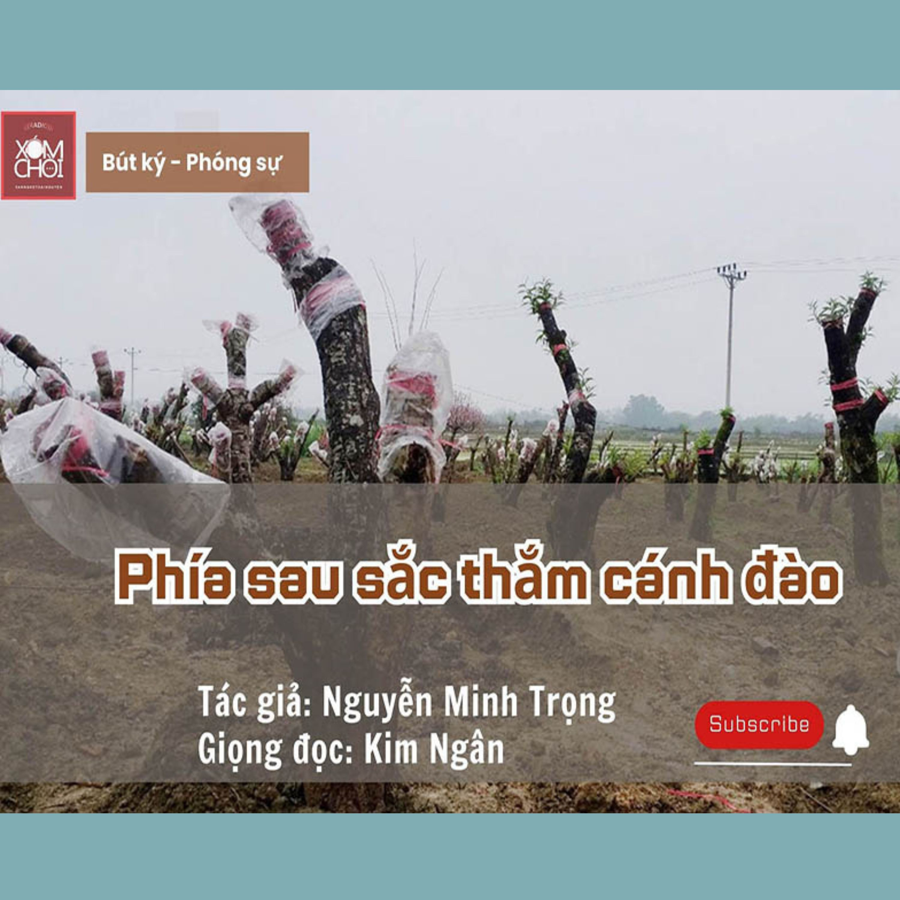 XÓM CHÒI kể