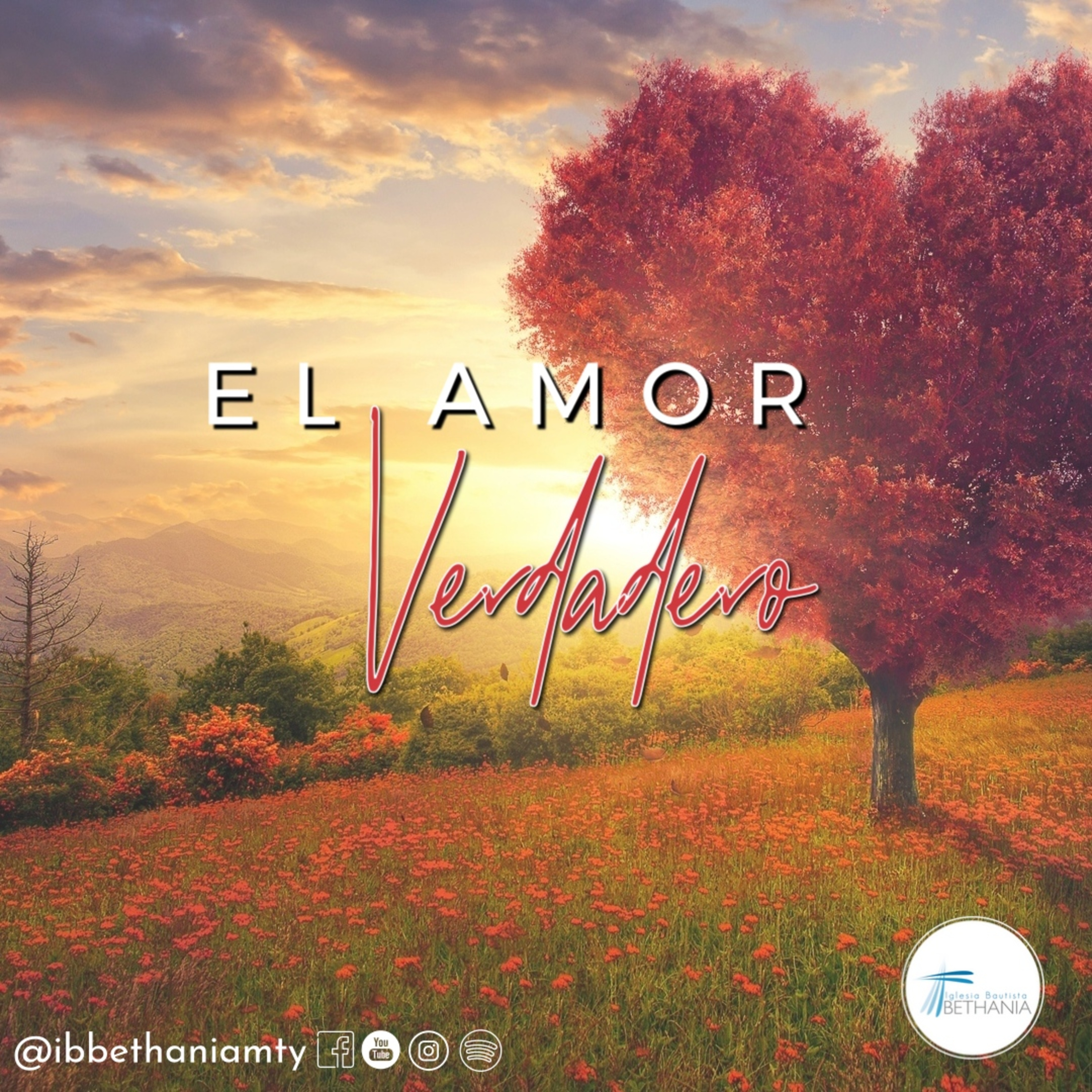 El Amor Verdadero - Febrero 22'26 episode artwork