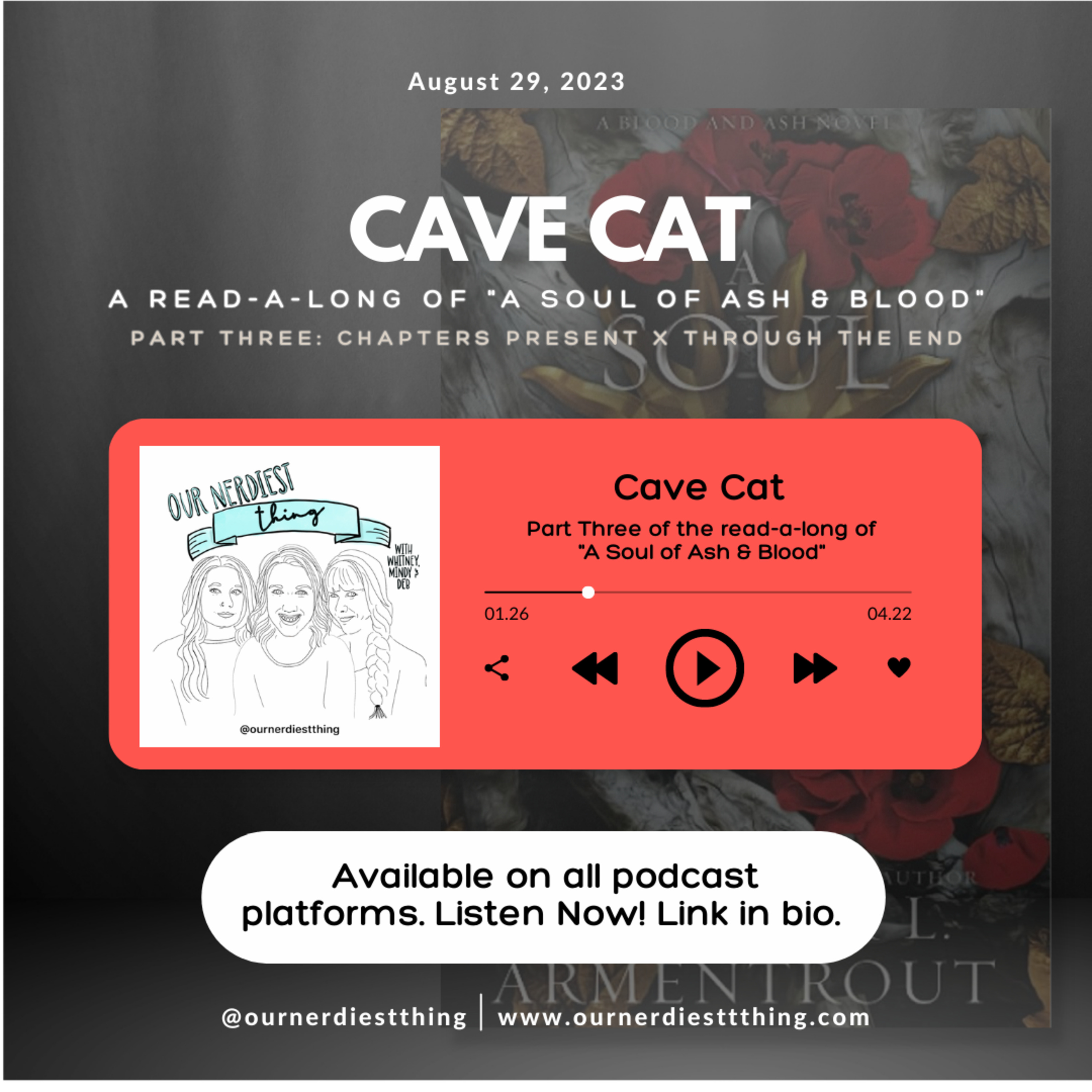 Season 3: Episode 3 - Cave Cat episode artwork