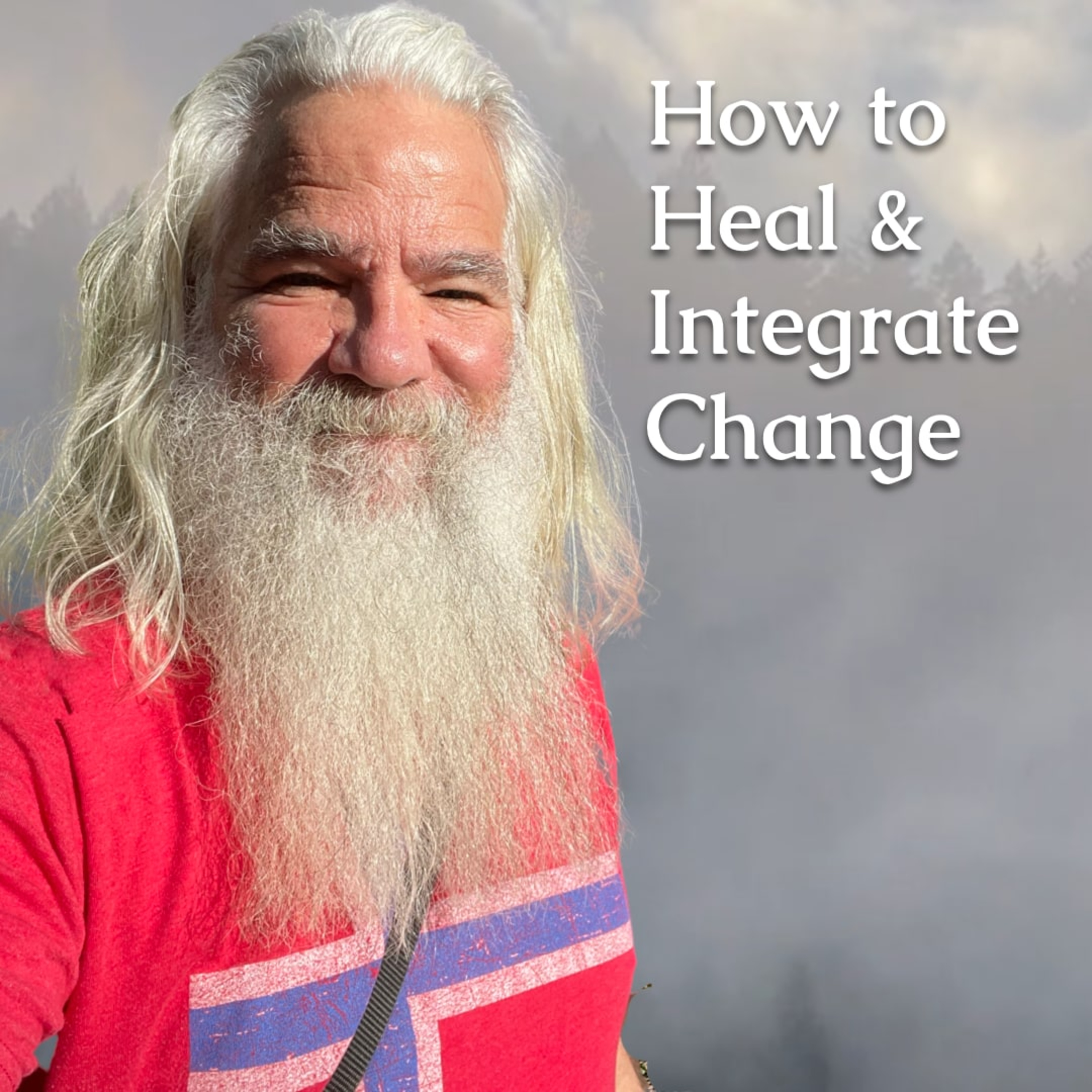 How to Embrace and Integrate Life’s Changes - The Healing Power of Transformation - The Workshop episode artwork
