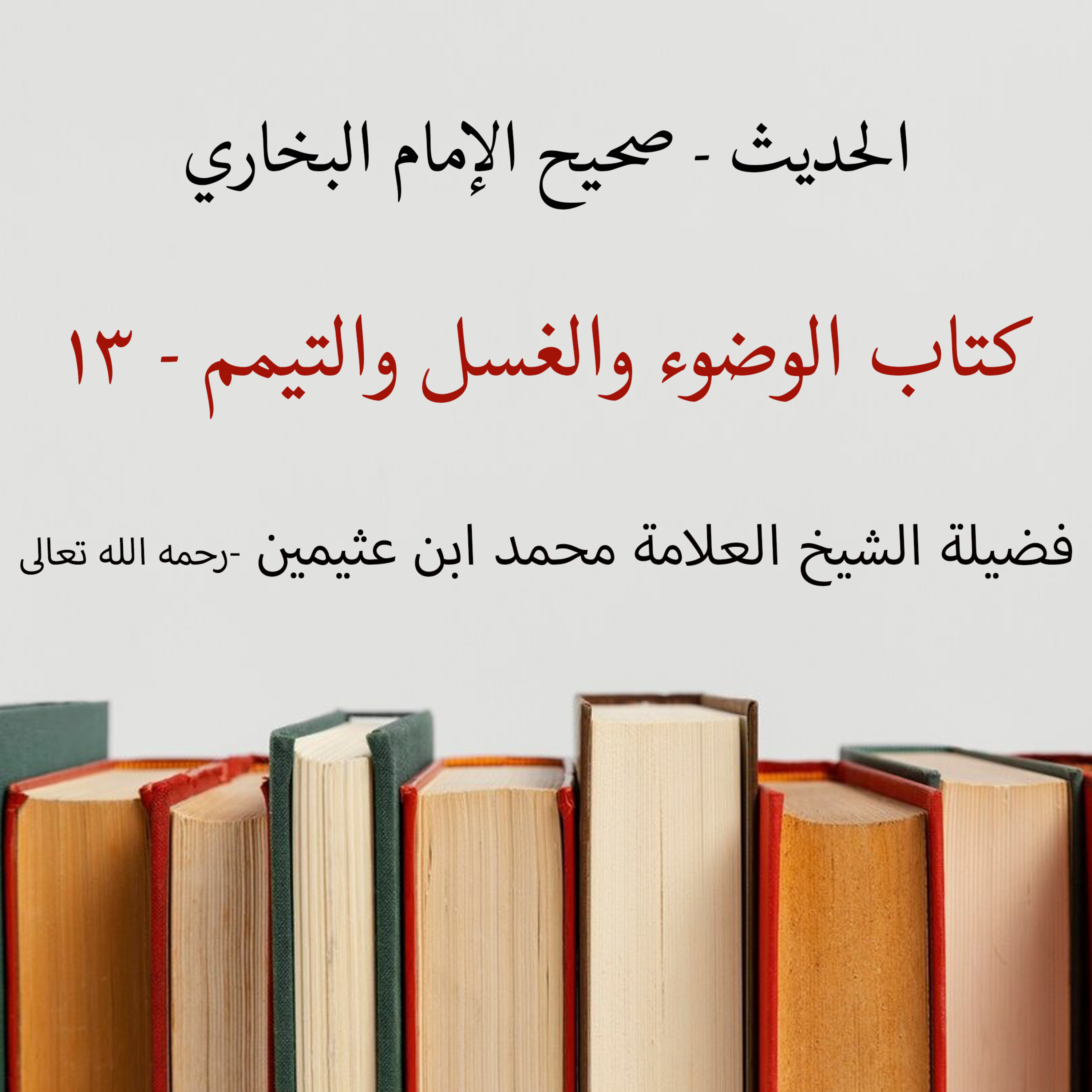 كتاب الوضوء والغسل والتيمم - 13