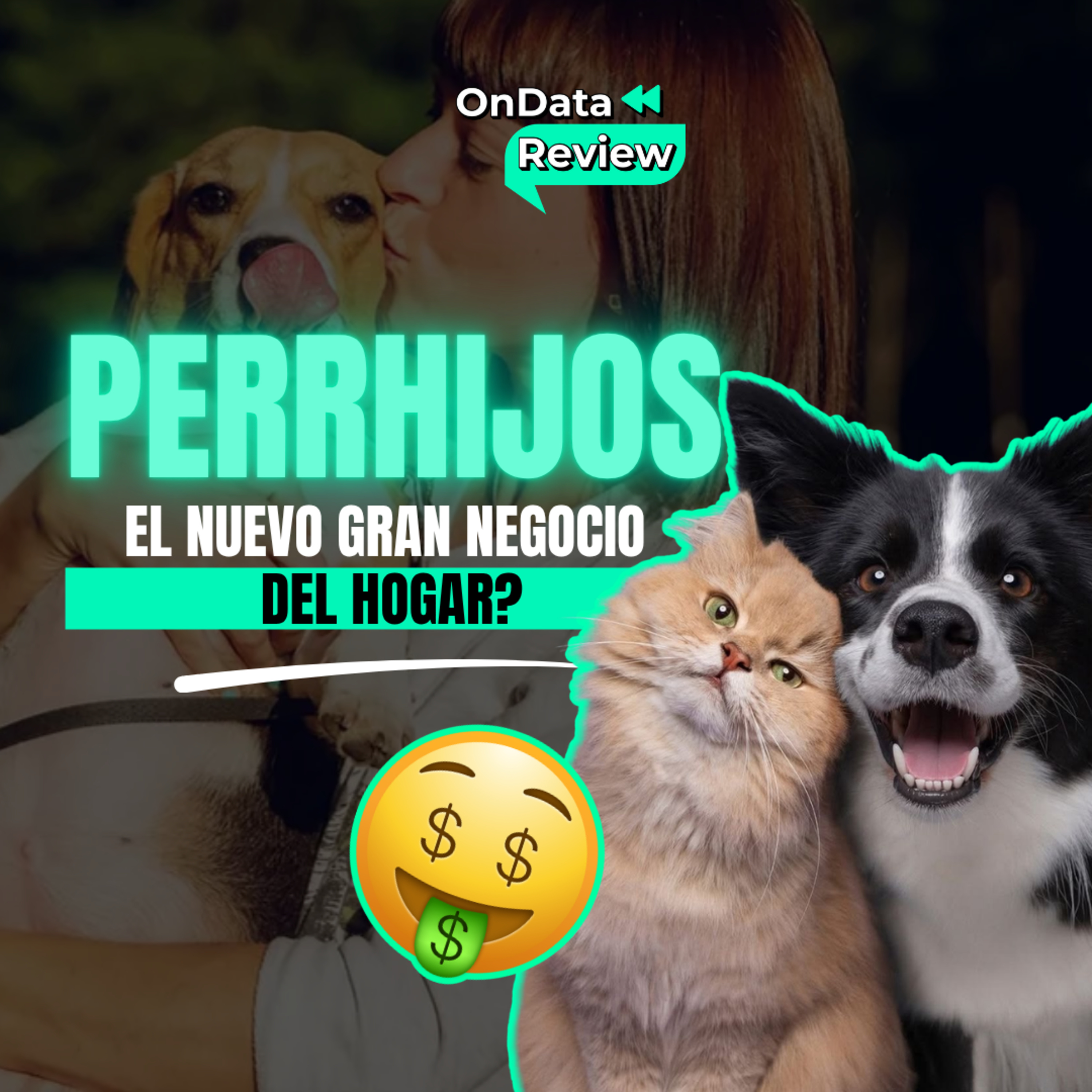 OnData Review | Perrijos: ¿el nuevo gran negocio del hogar? episode artwork