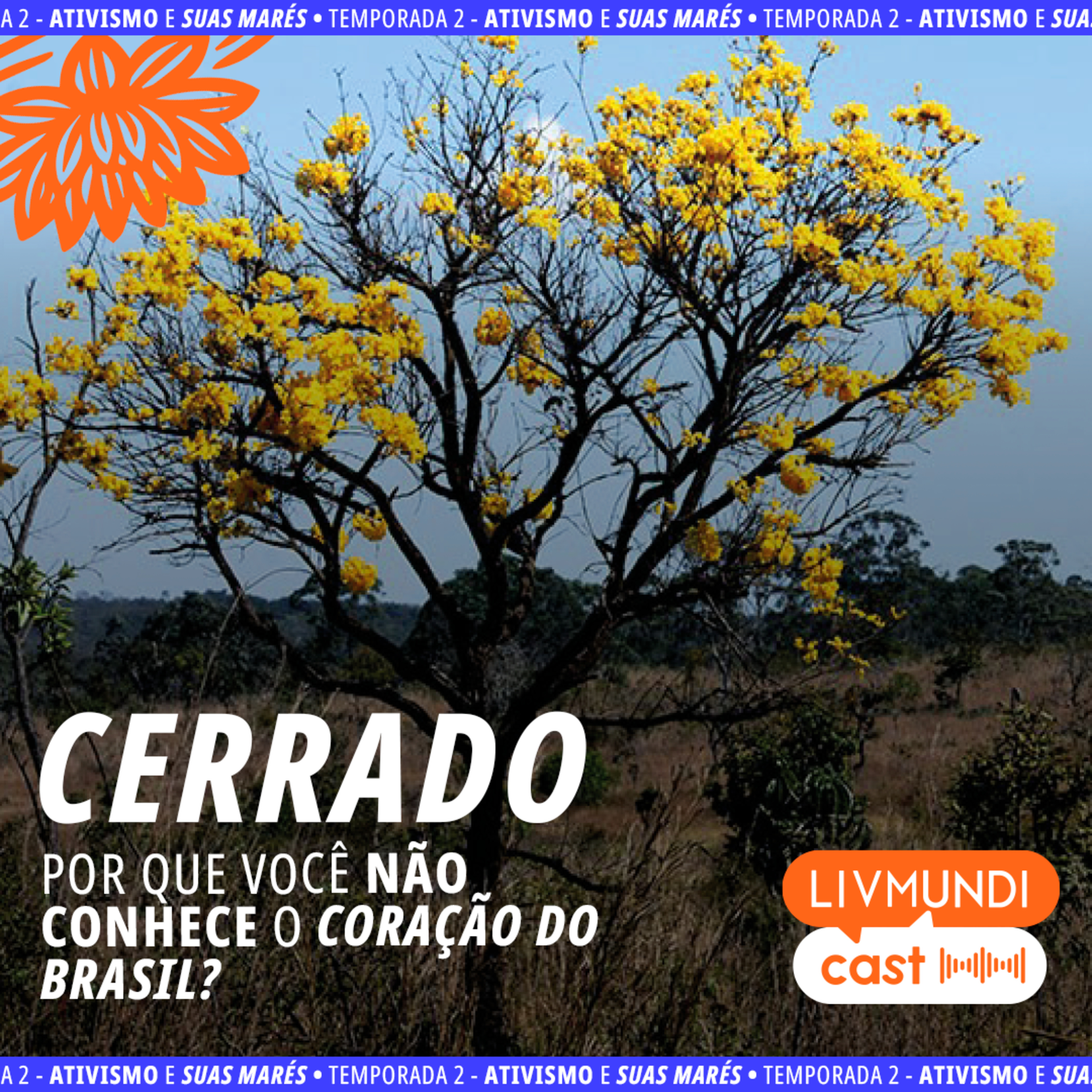 Cerrado: Por que você não conhece o coração do Brasil? com Aline Matulja, Alciléia Quilombola e Isabel Figueiredo