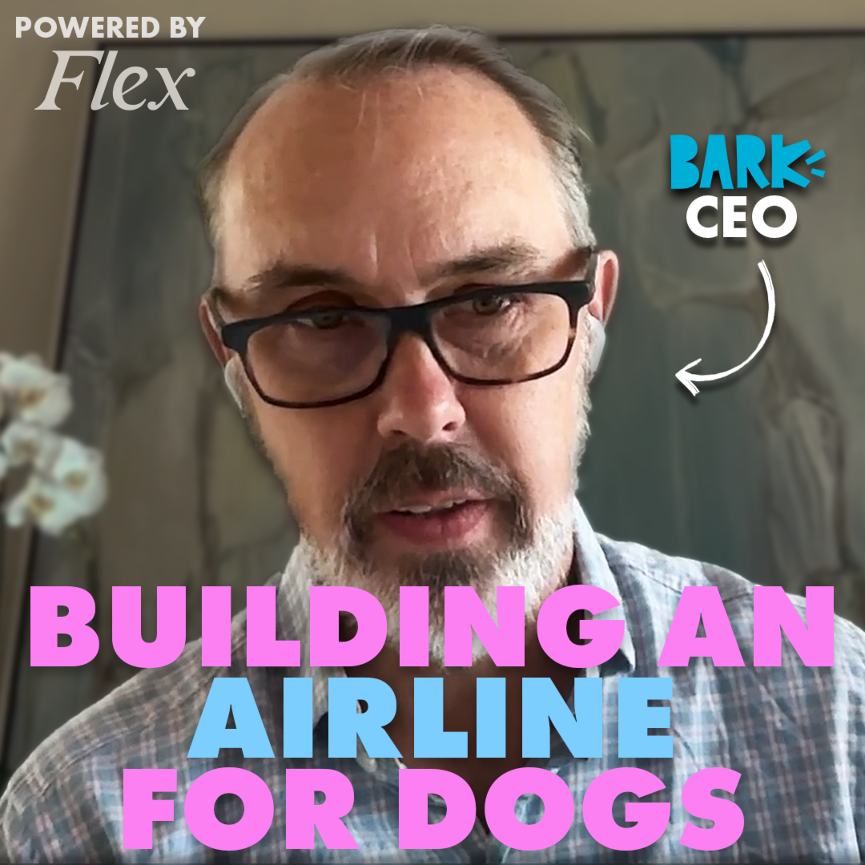 Why BARK Built an Airline for Dogs Episode cover