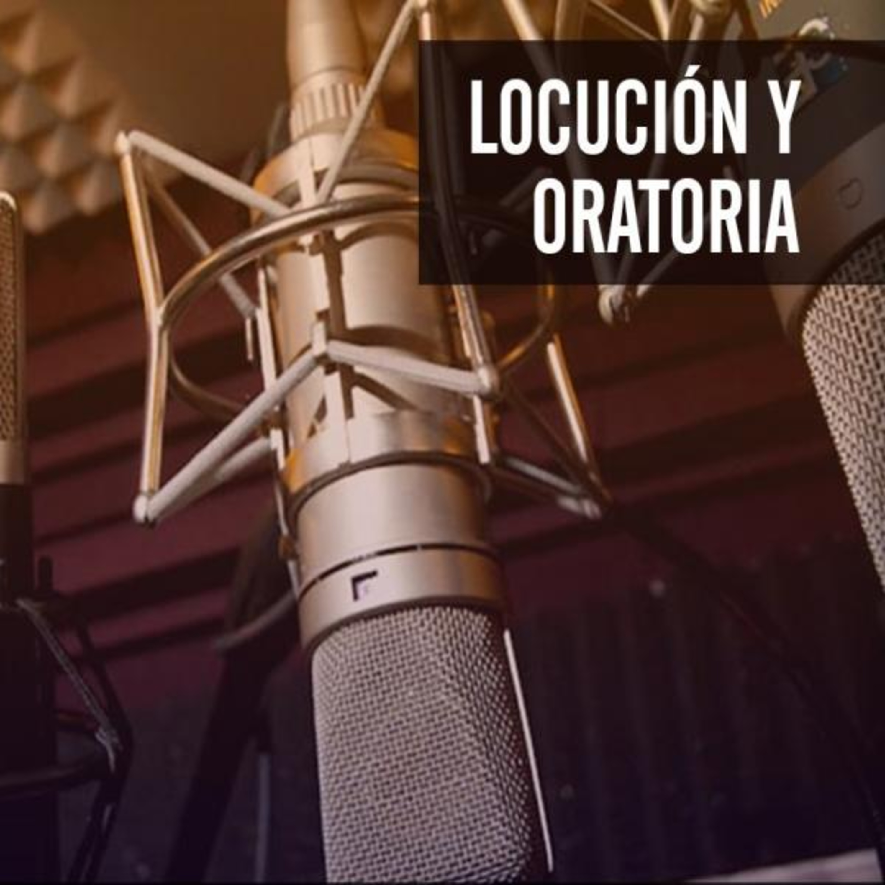 GDS Radio Mar del Plata Podcast