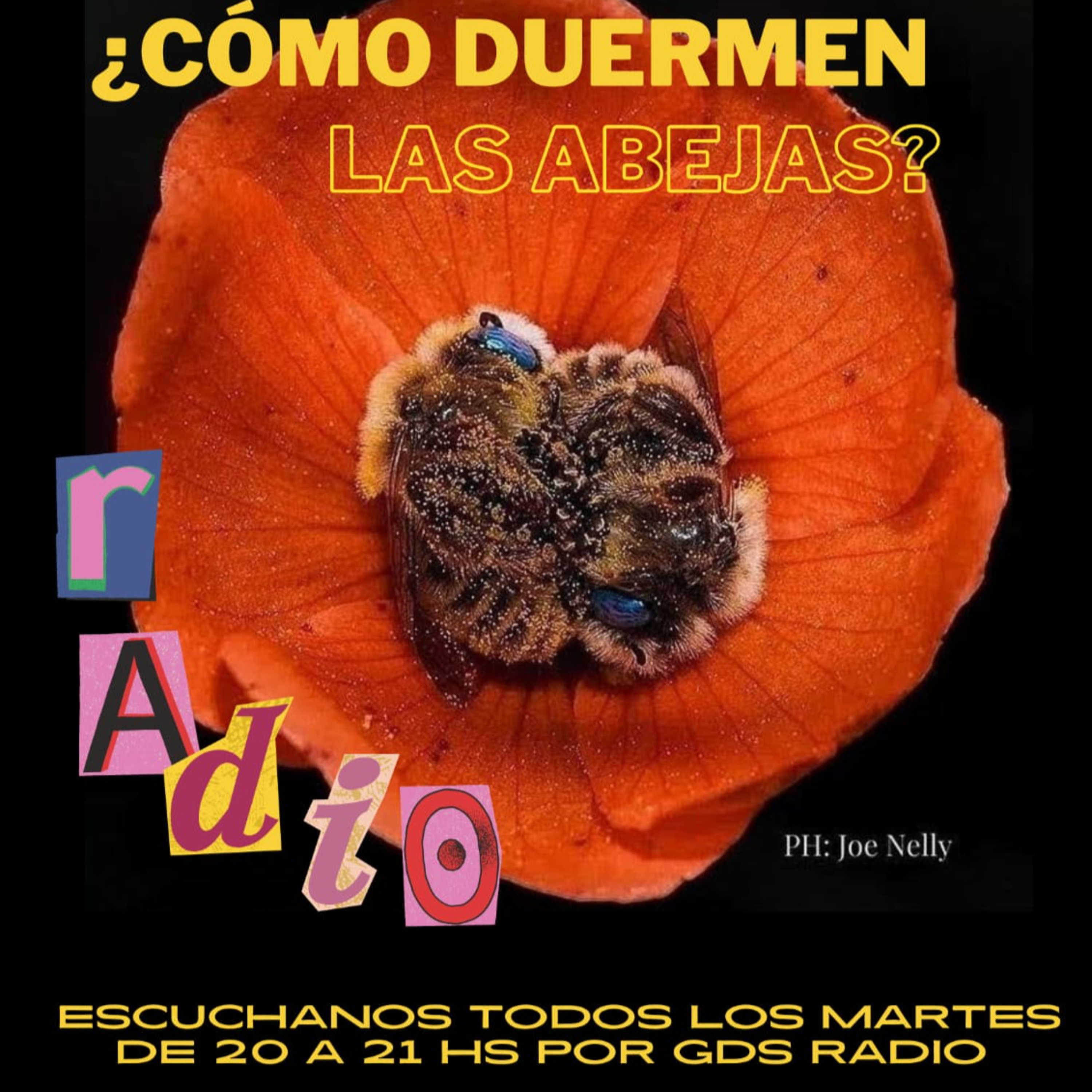 ¿Cómo Duermen las Abejas?. Hoy: Entrevista . A Edison Bentacour Garín . Obrero Uruguayo 6 de junio de 2023 episode artwork