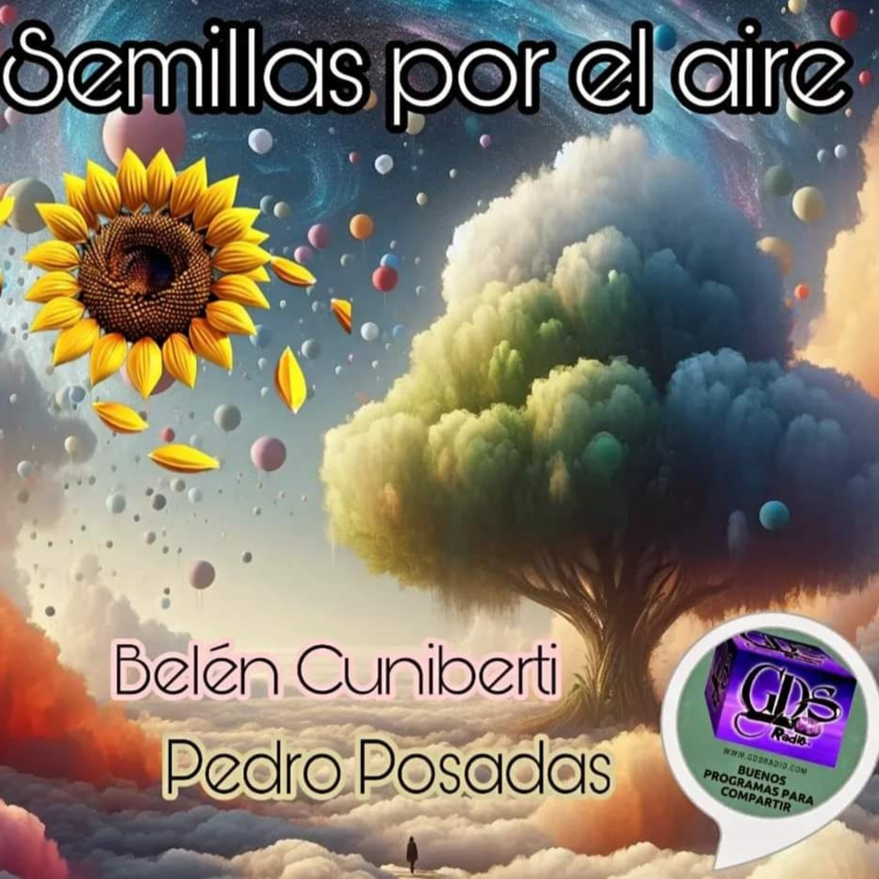 Semillas por el Aire ¿Quedan los valores de la Familia? Micro episode artwork