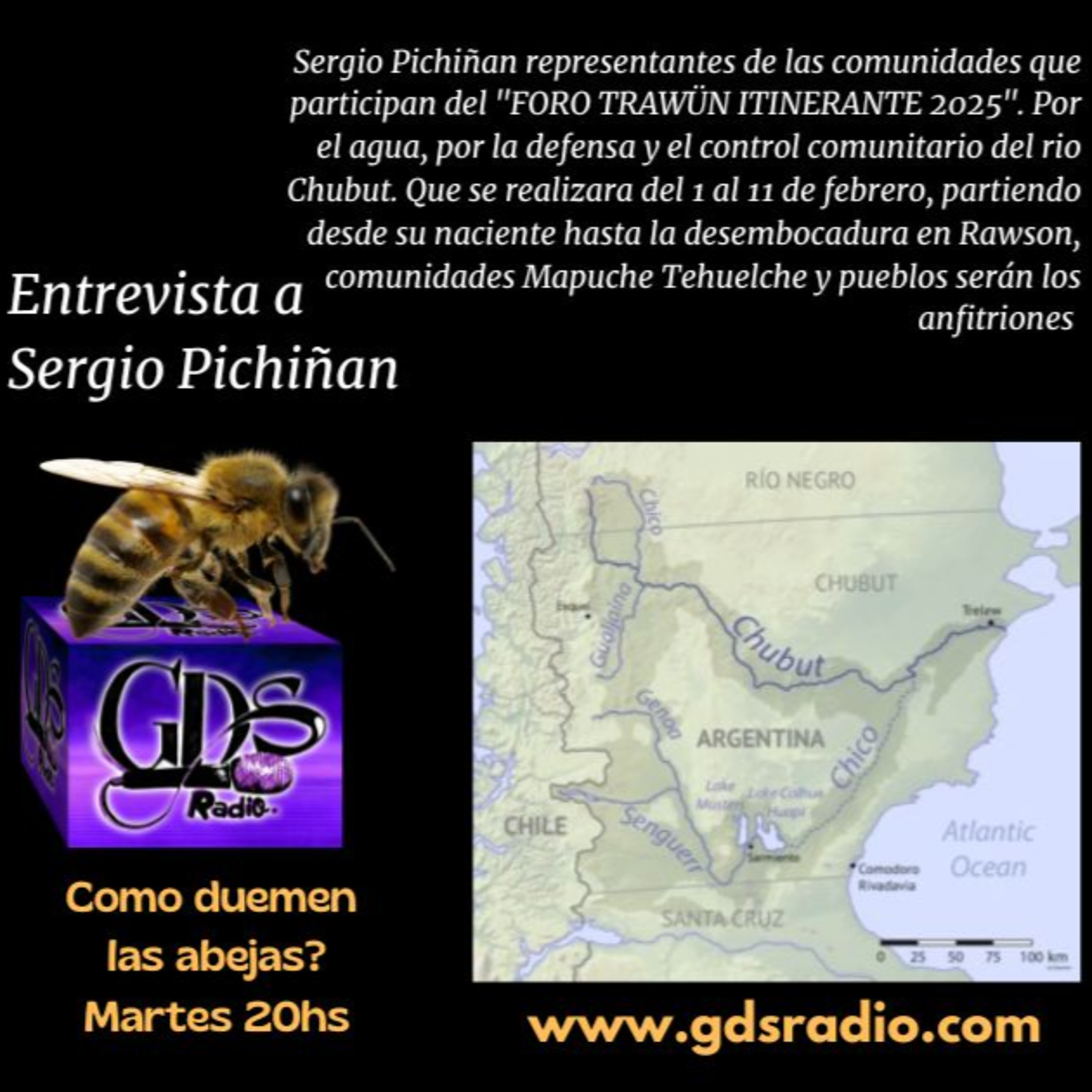 ¿Cómo duermen las abejas? "FORO TRAWÜN ITINERANTE 2025" Sergio Pichiñan . 28 de enero de 2025 episode artwork